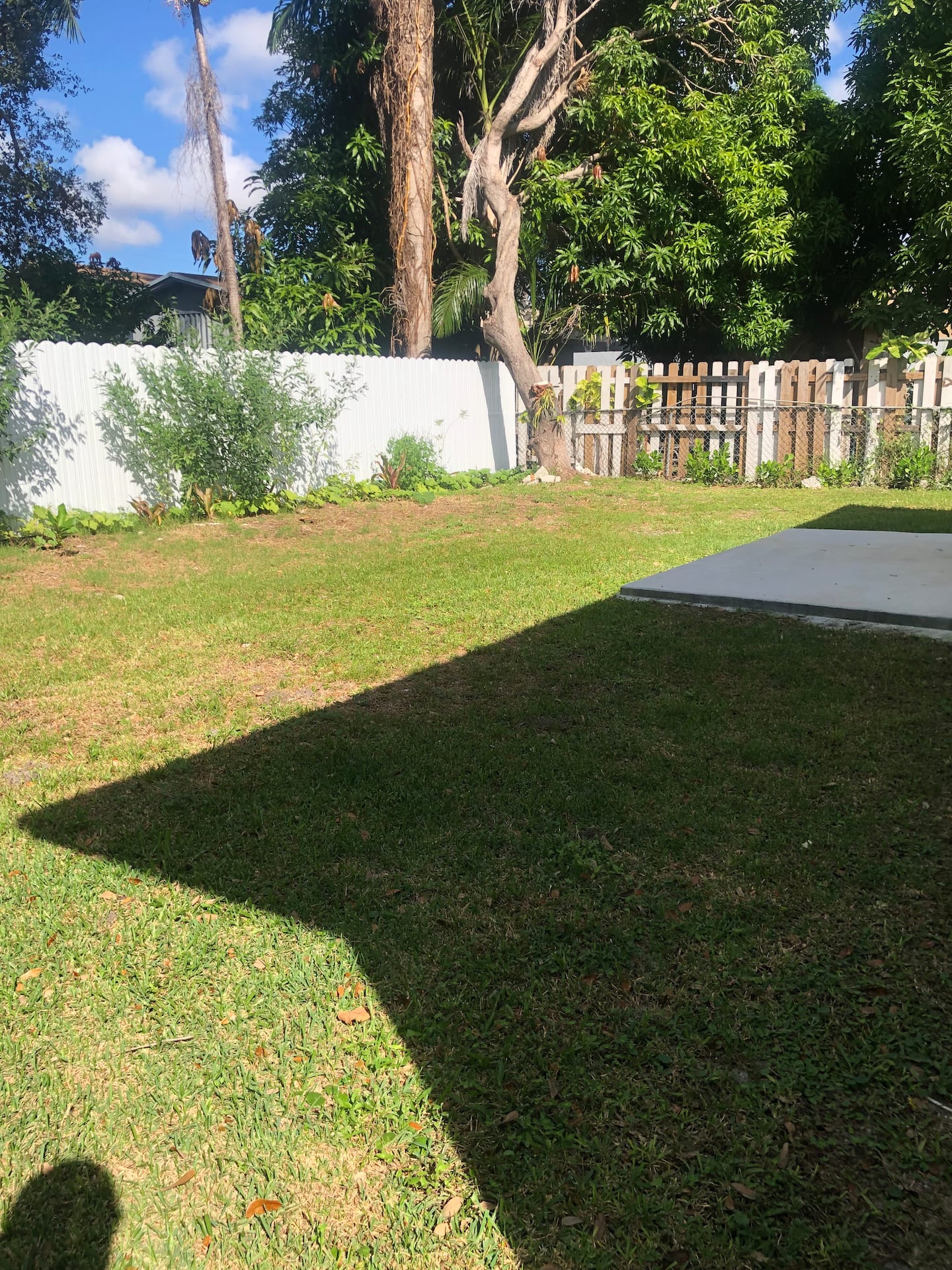 Photo 33