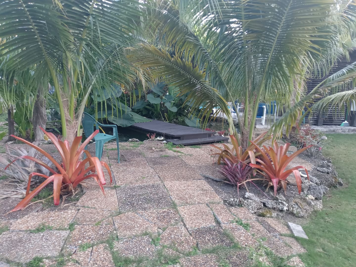 Photo 48