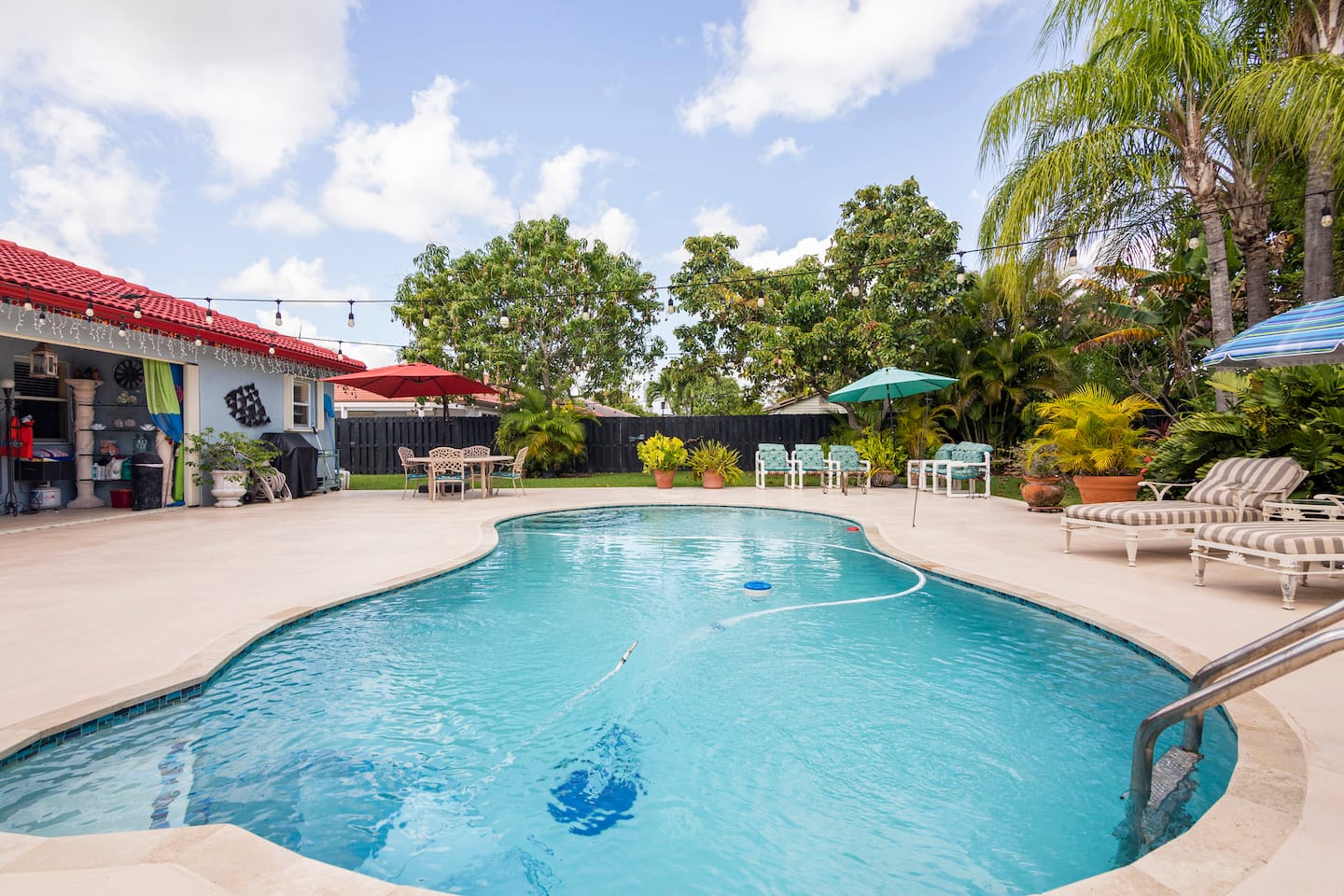 Photo 35
