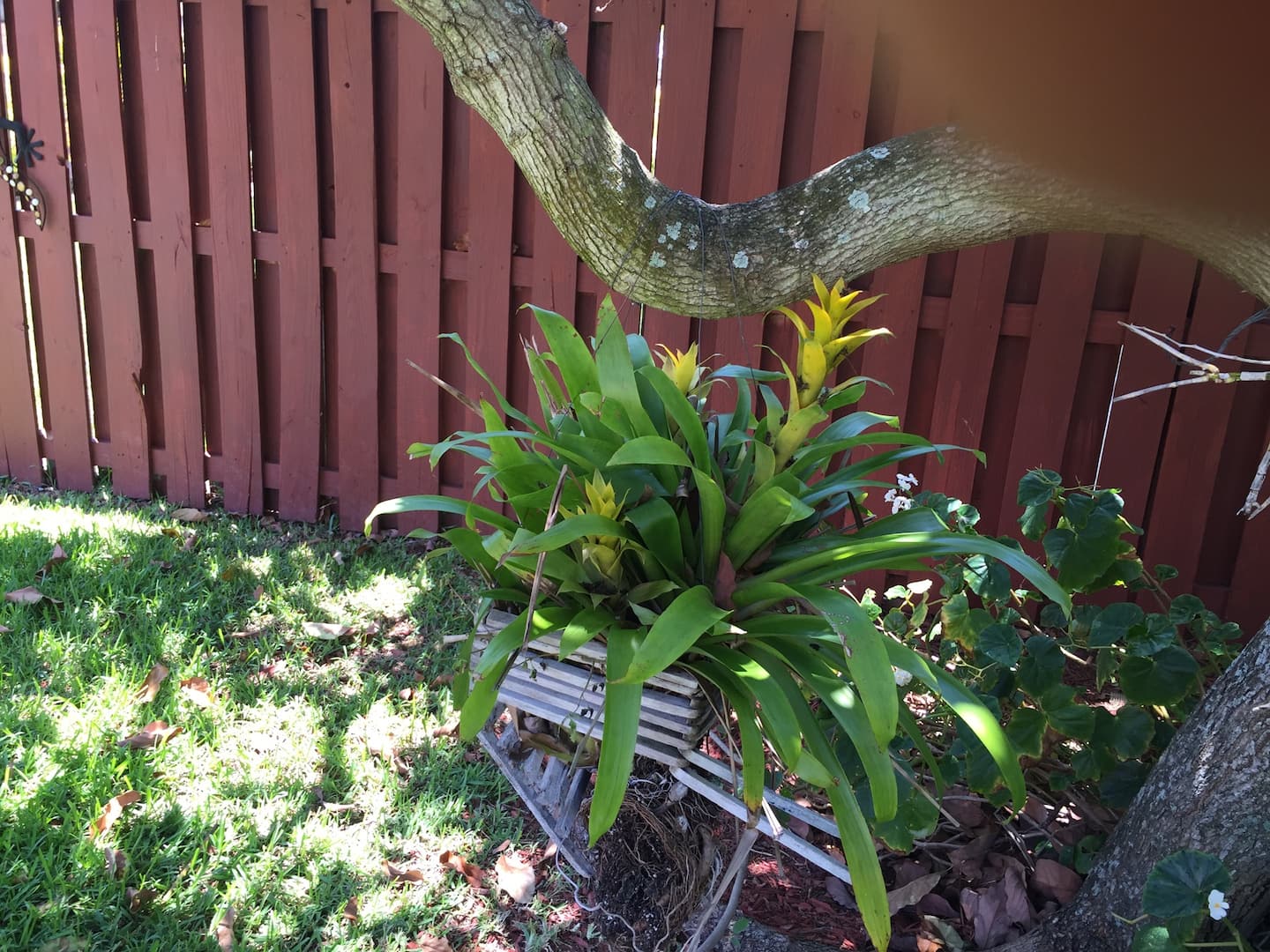 Photo 42