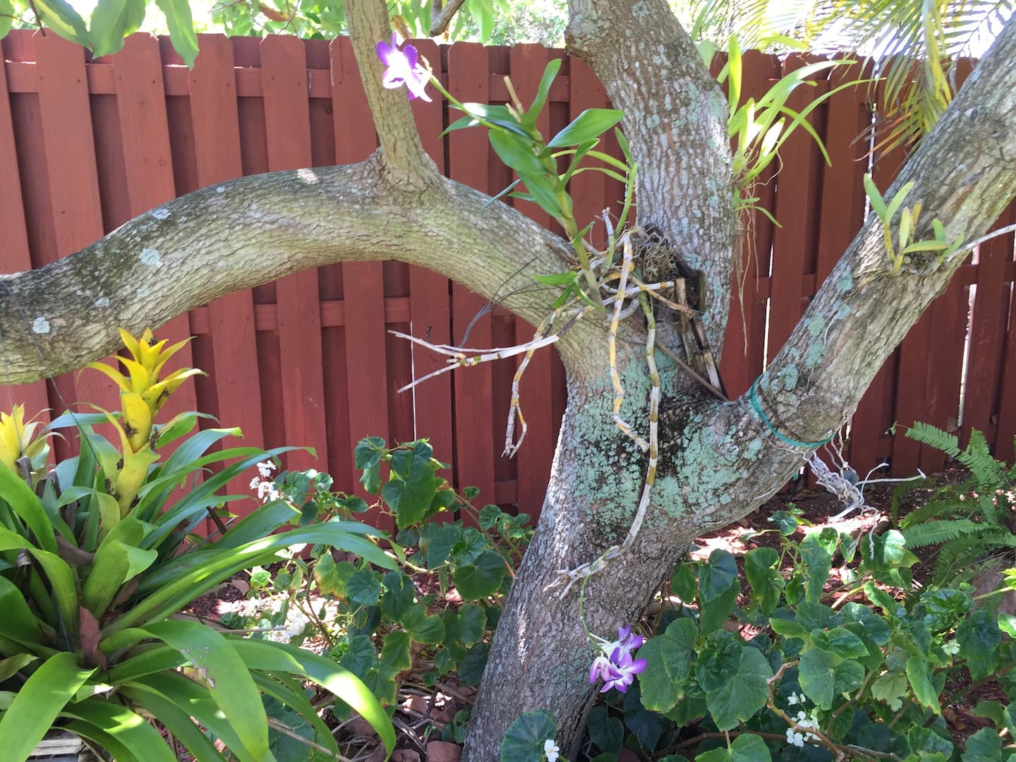Photo 47