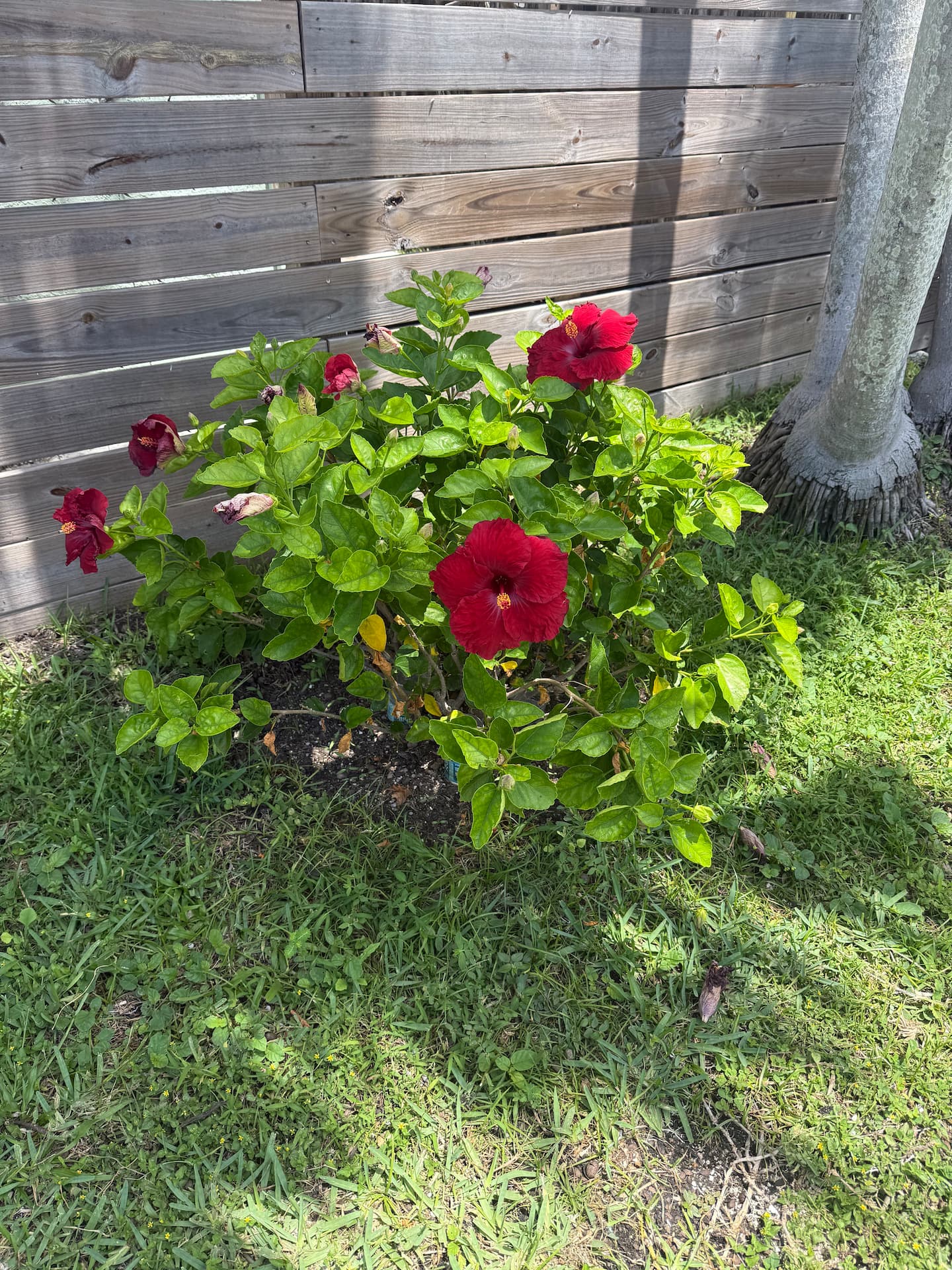 Photo 27