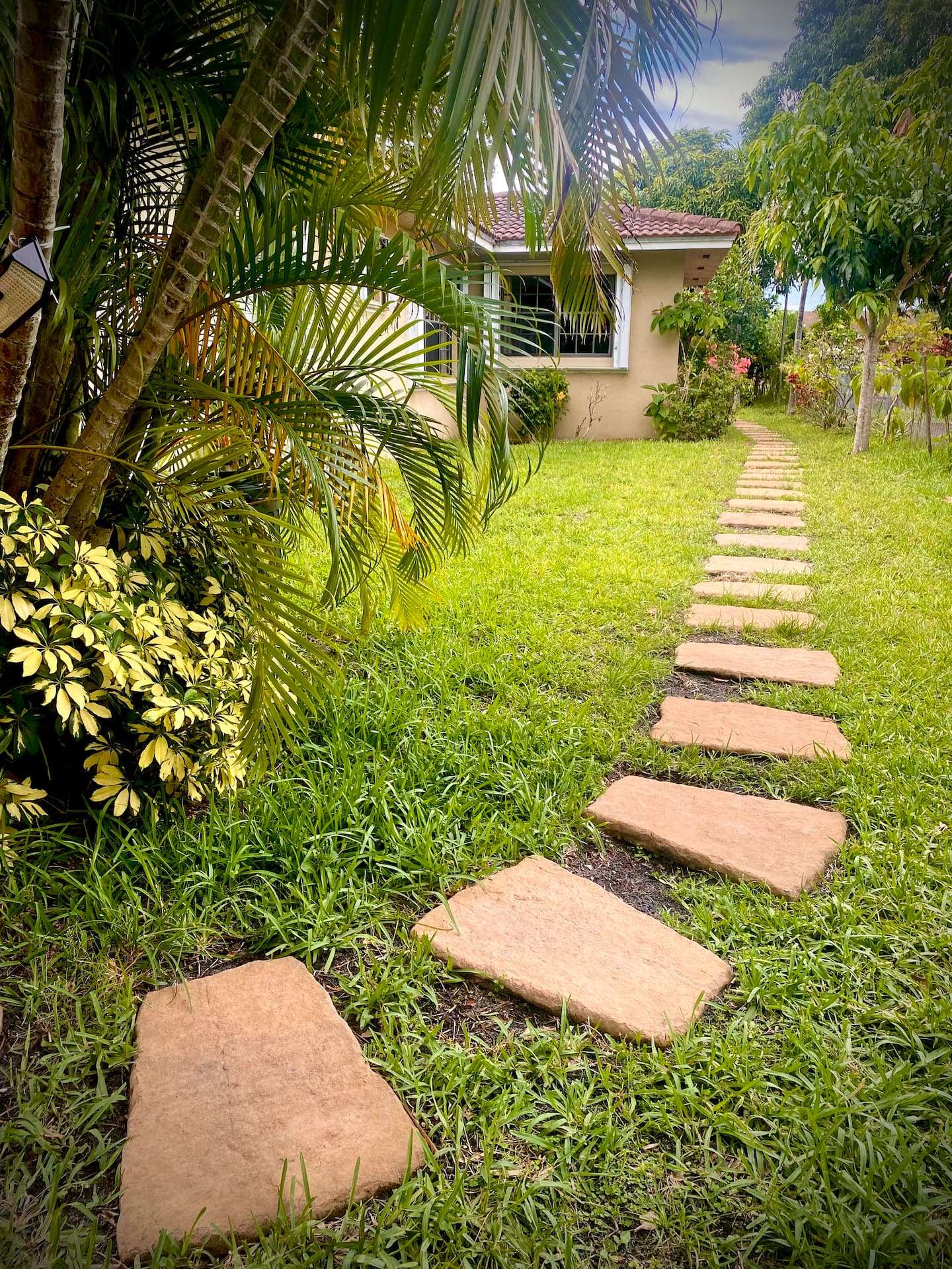 Photo 7