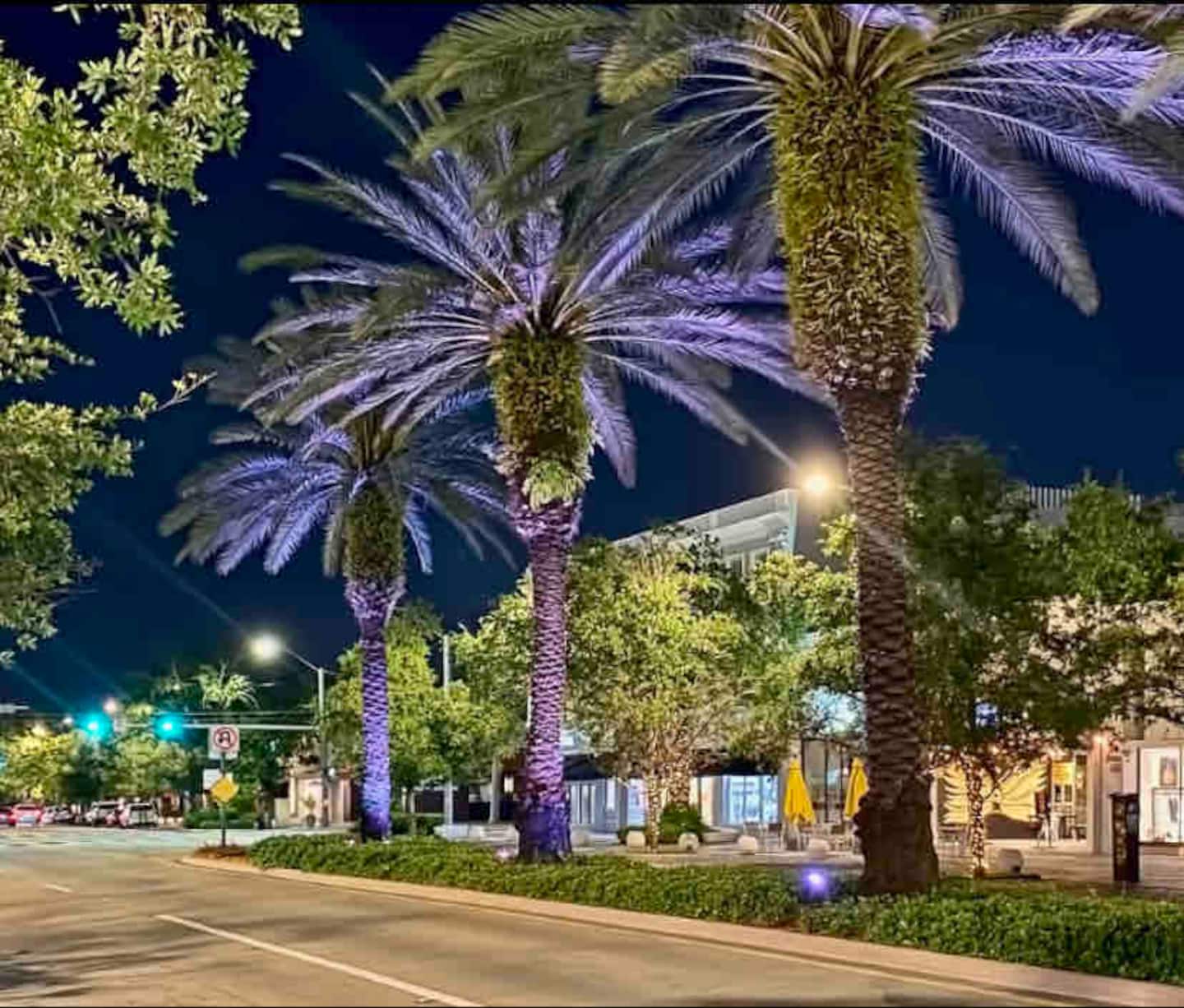 Photo 54