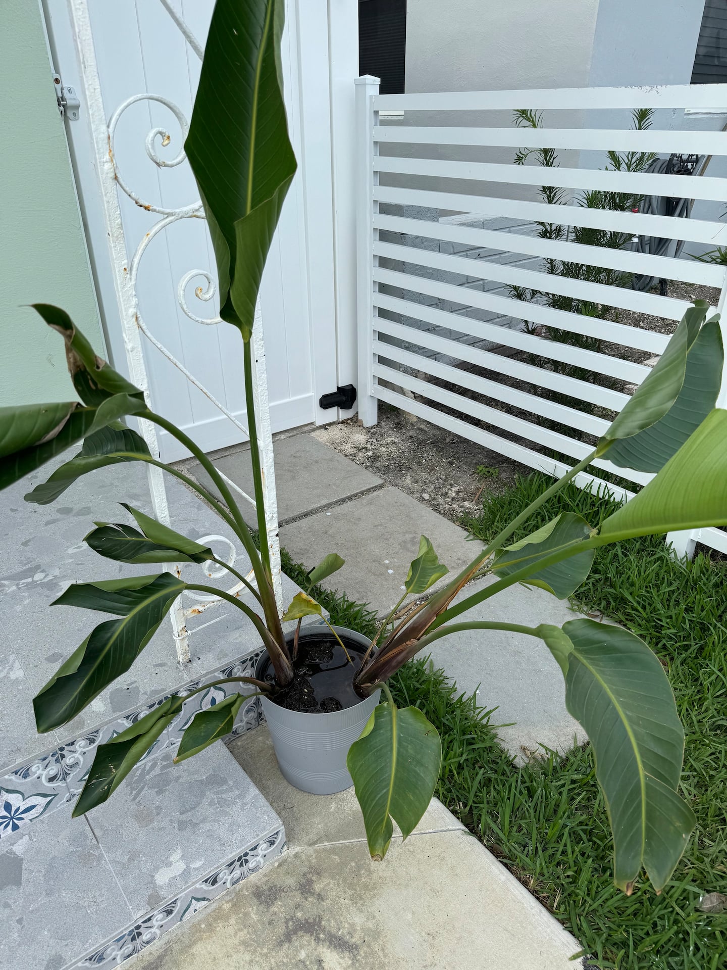 Photo 37