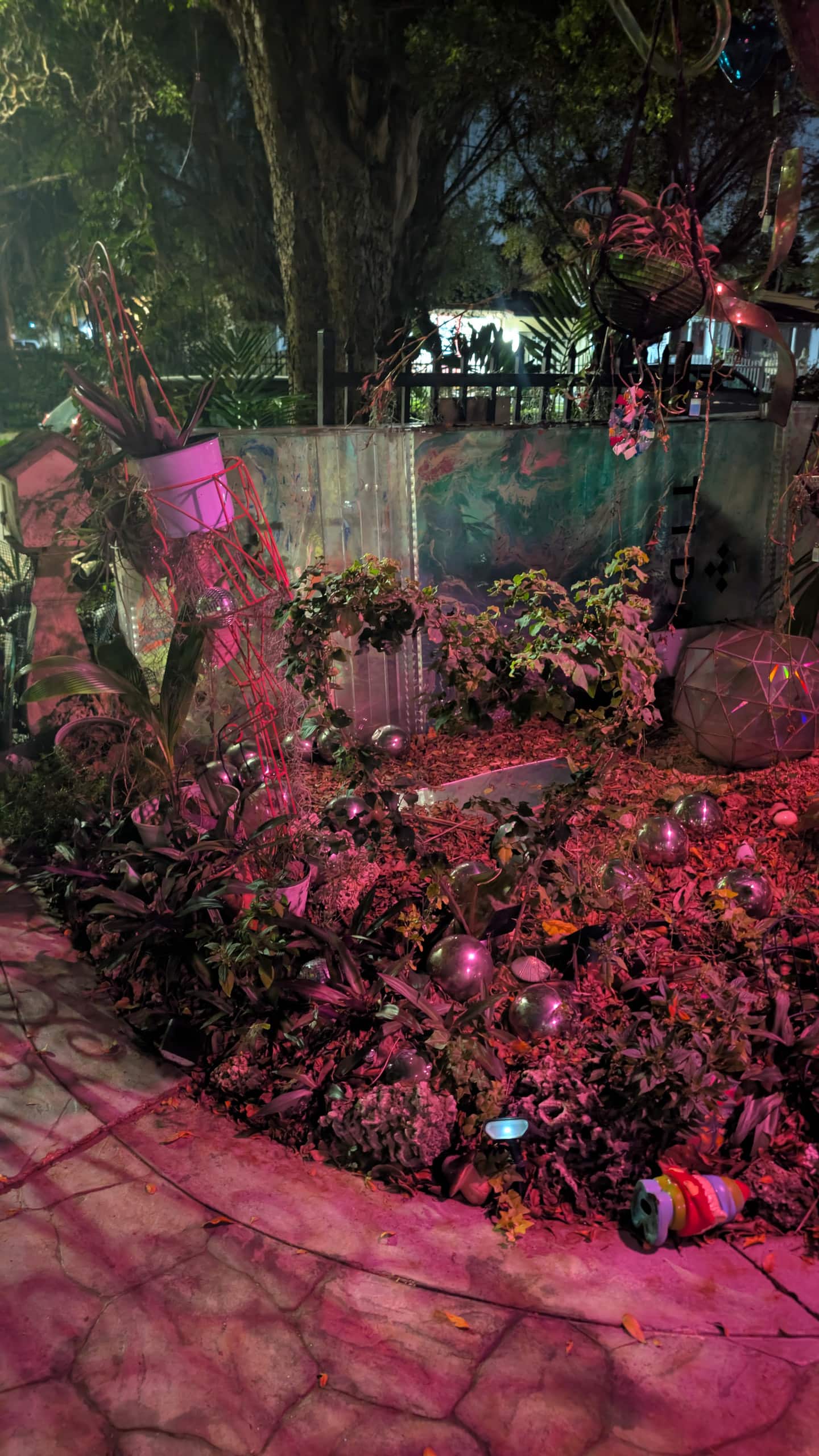Photo 20