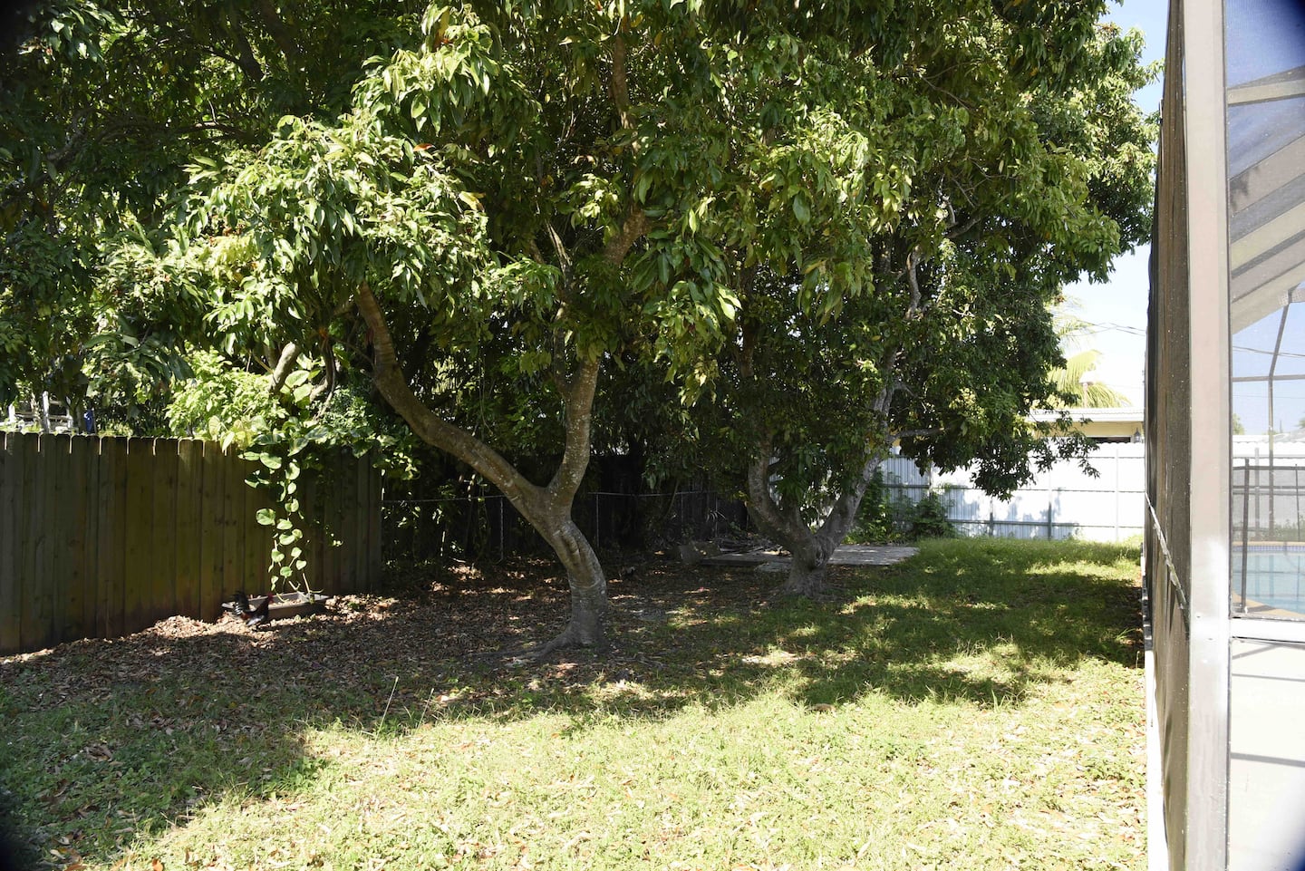 Photo 30