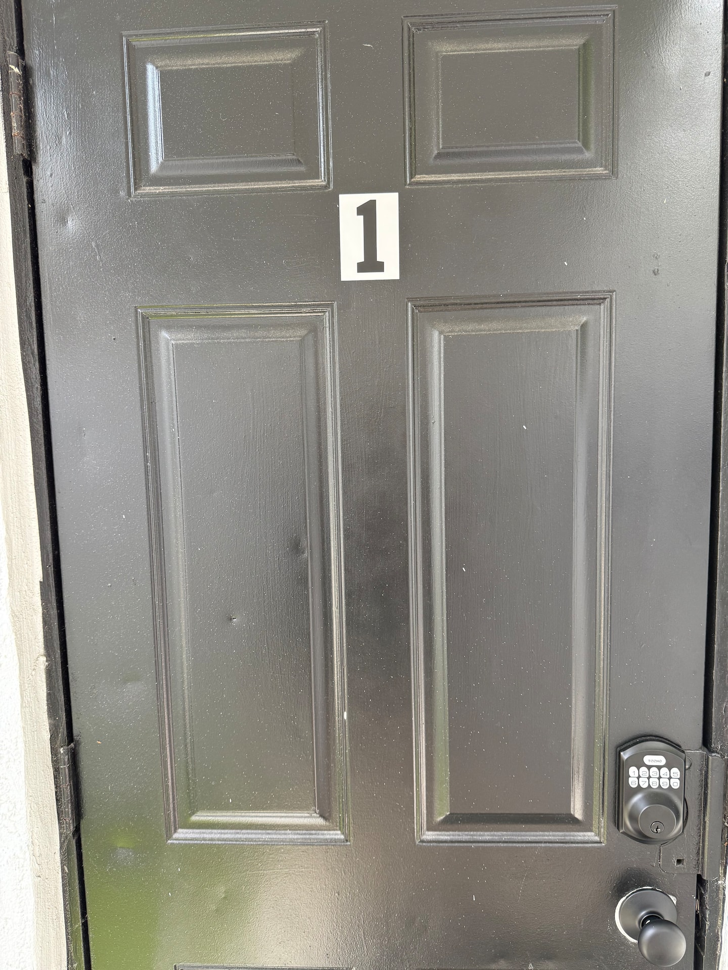Photo 11