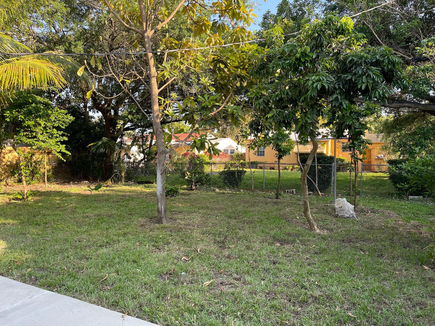 Photo 36