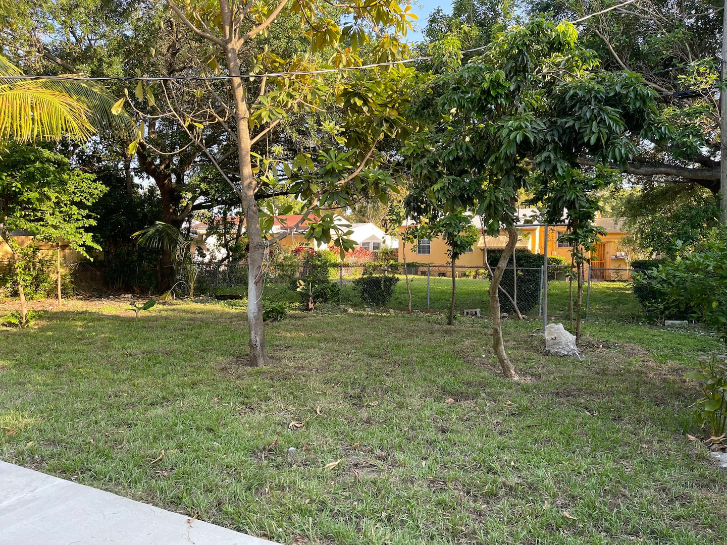 Photo 37