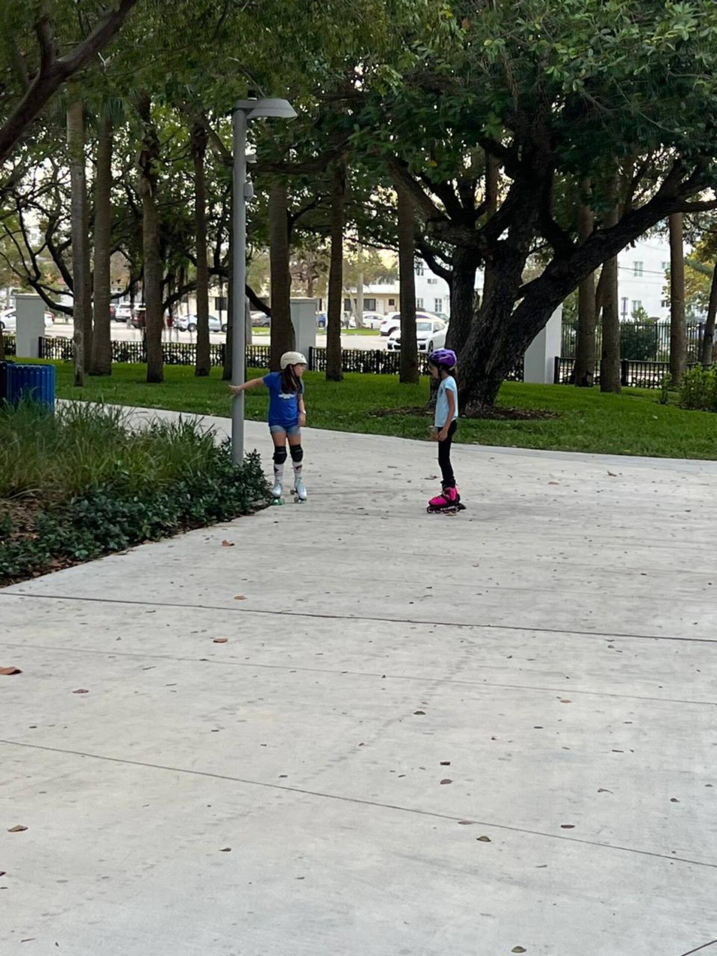 Photo 48