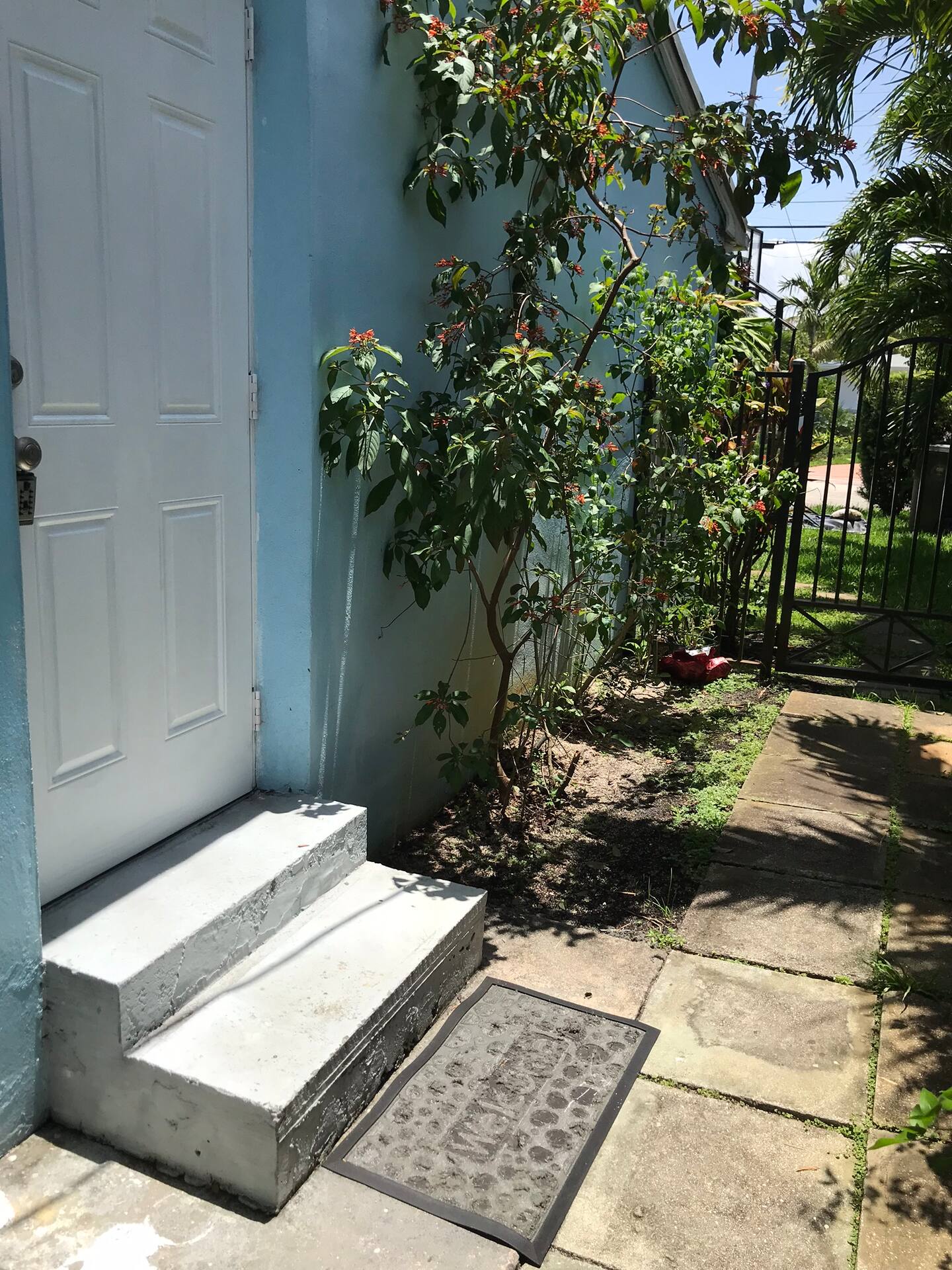 Photo 21