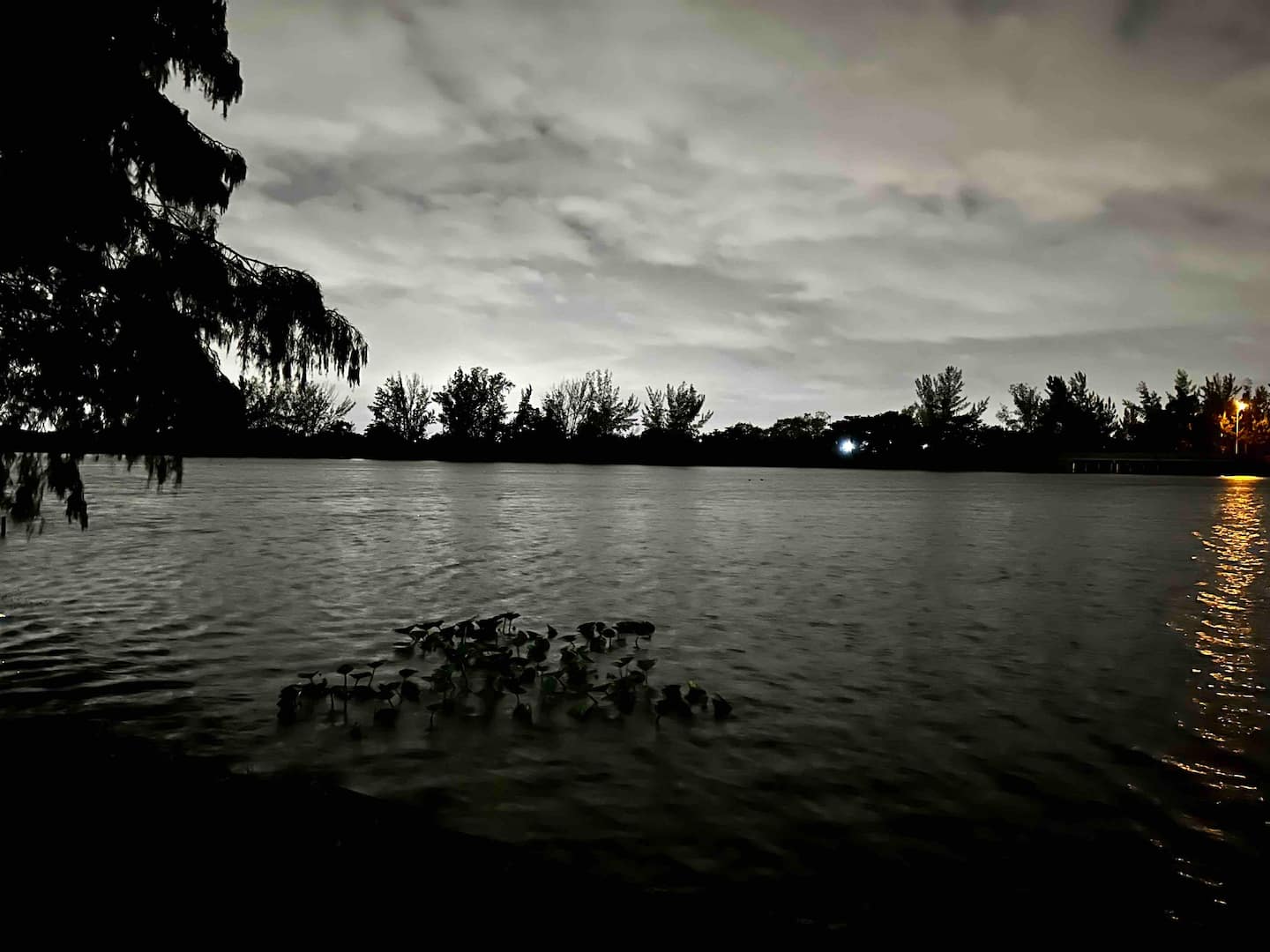 Photo 32