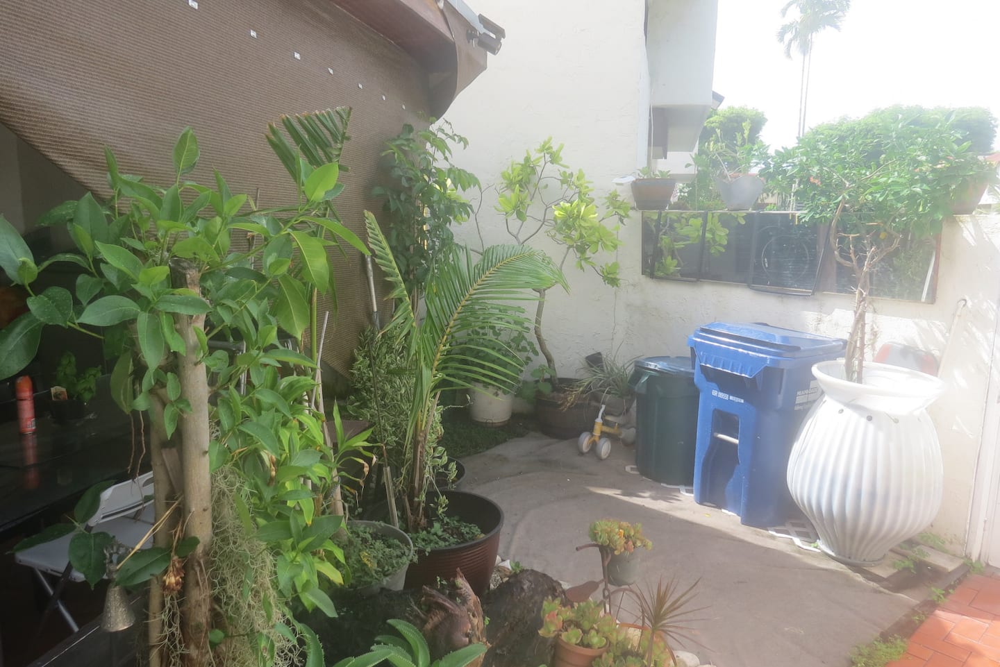 Photo 44