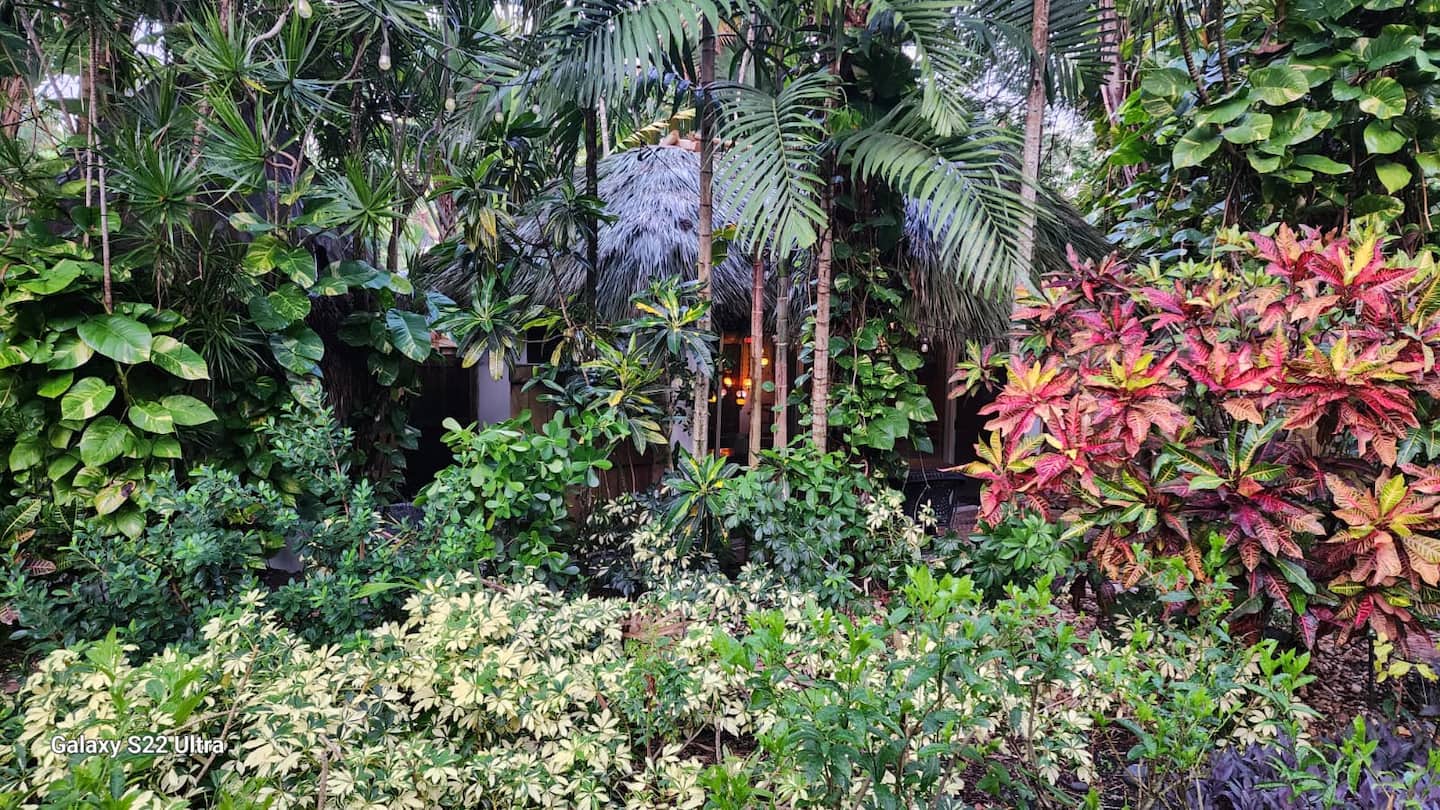 Photo 41