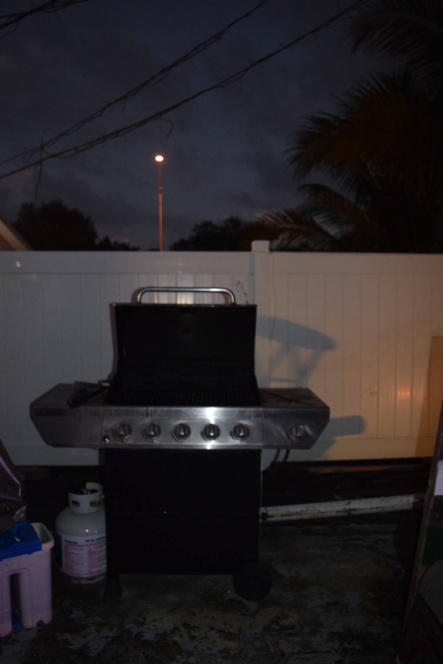 Photo 44