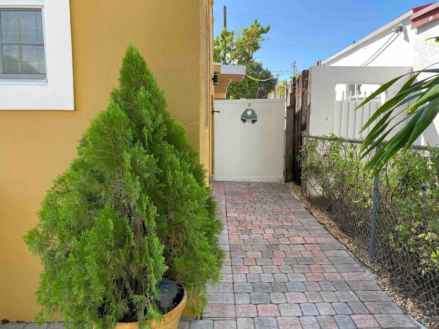 Photo 19