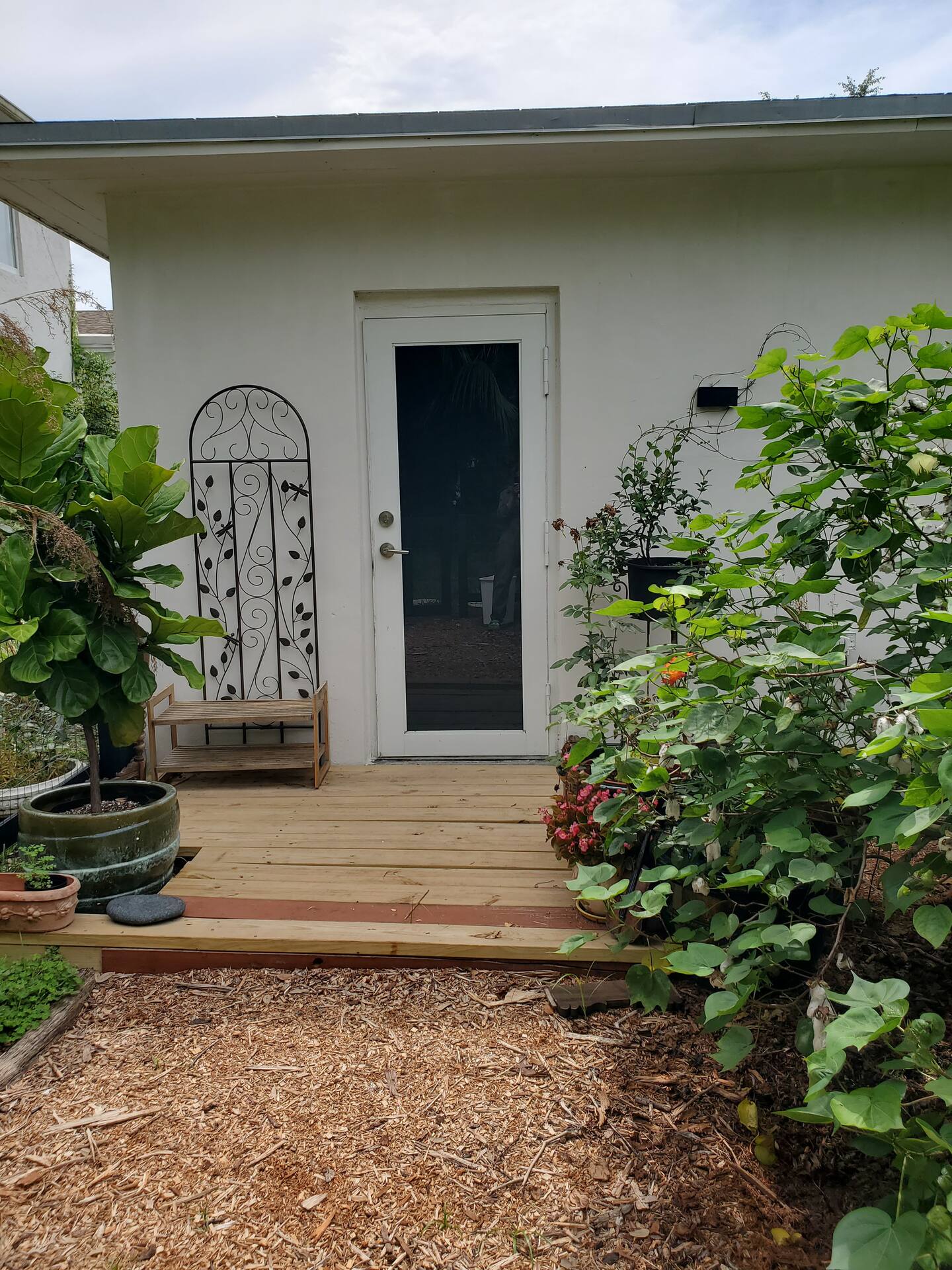 Photo 42