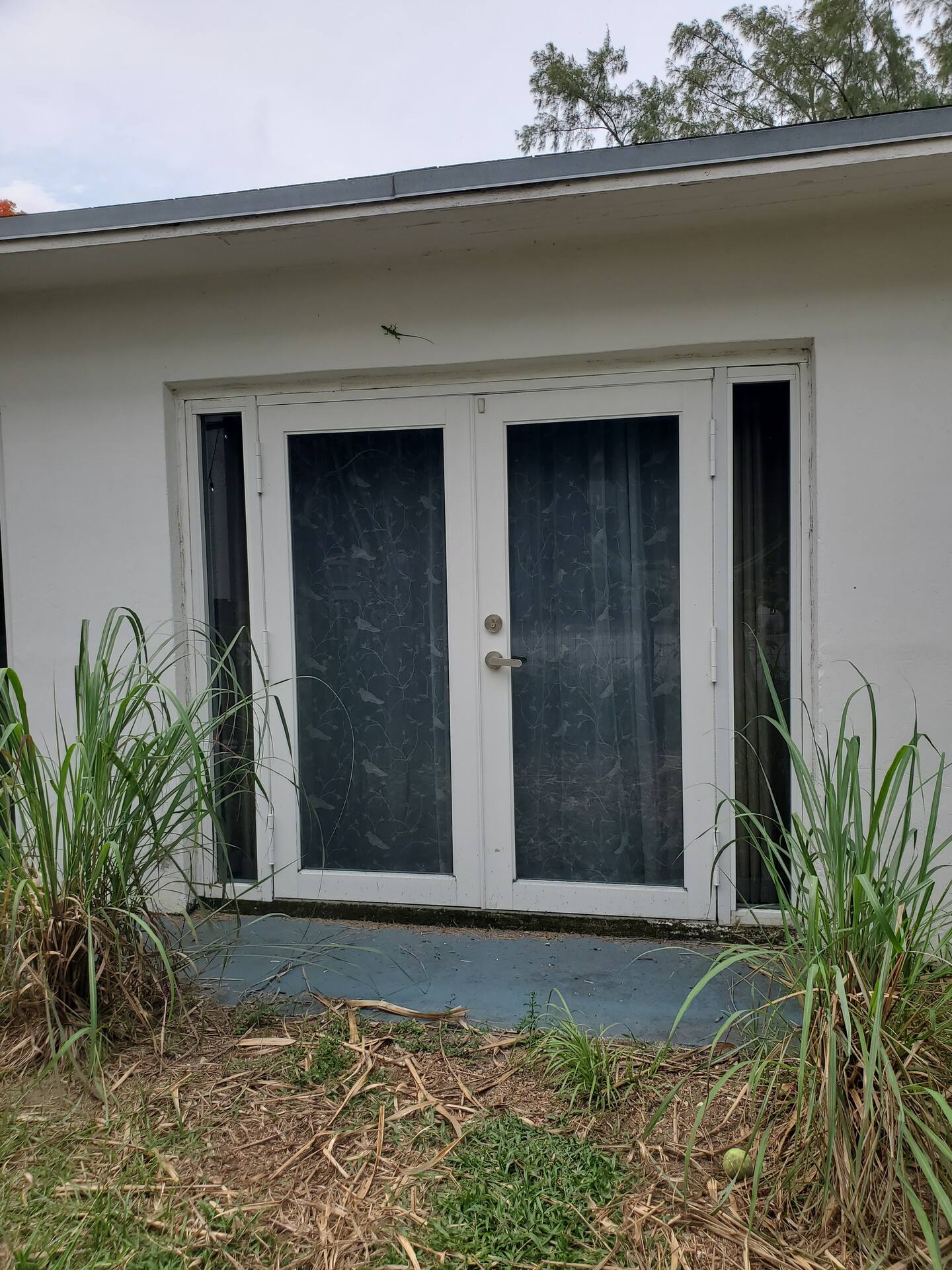 Photo 46