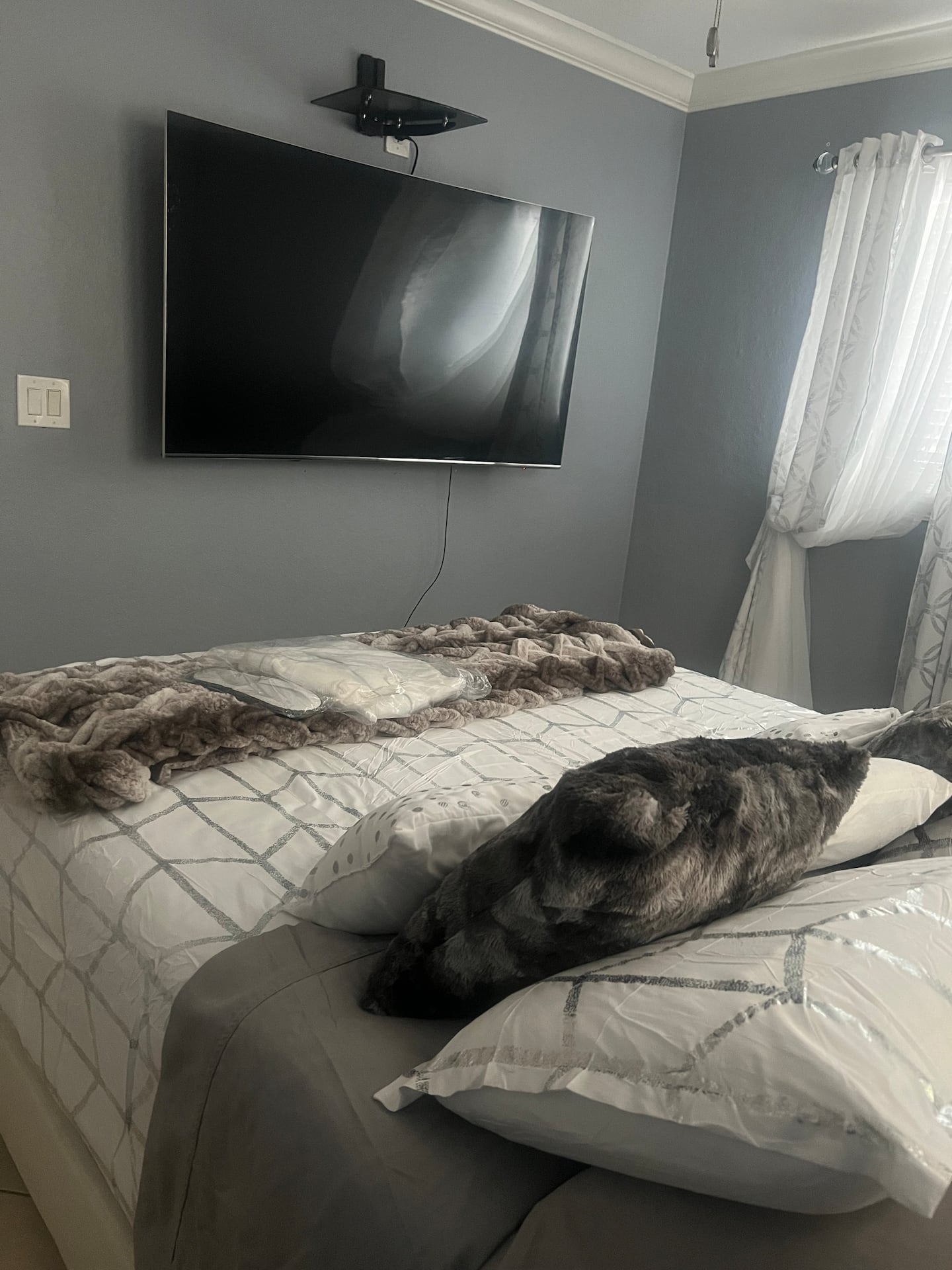 Photo 46