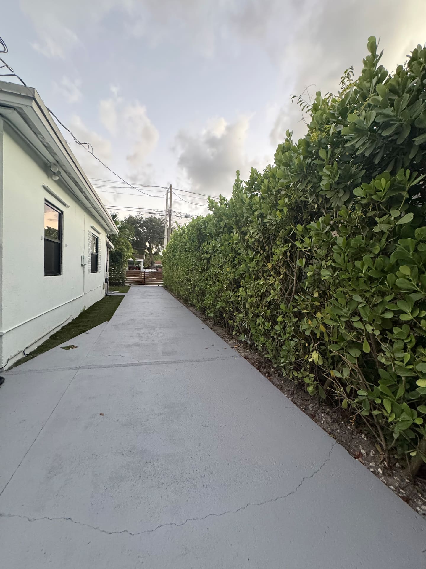 Photo 30