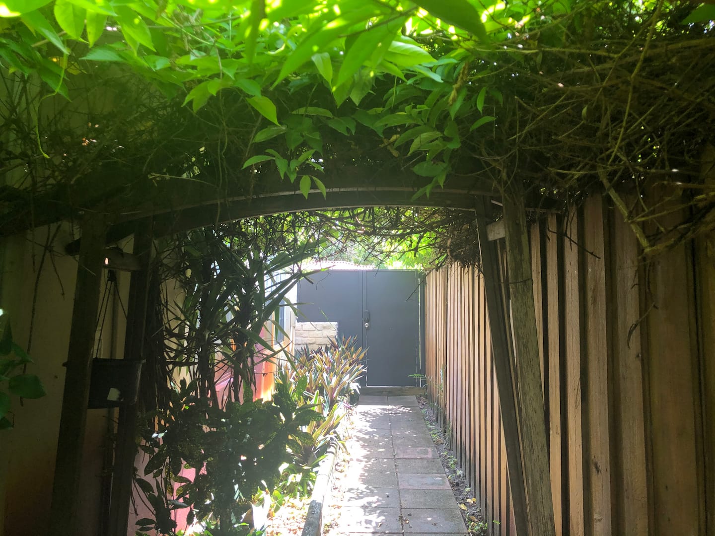 Photo 19