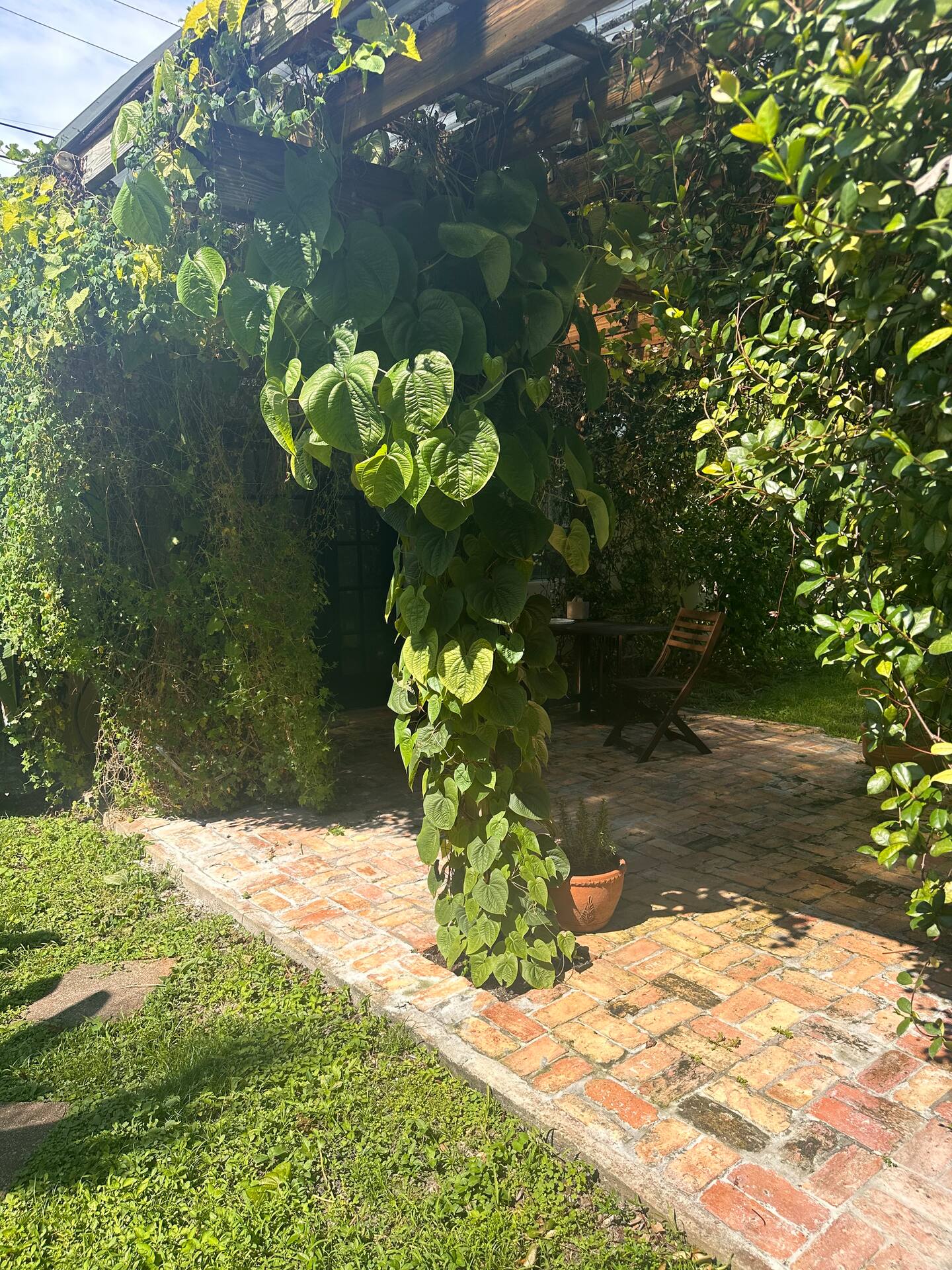 Photo 44