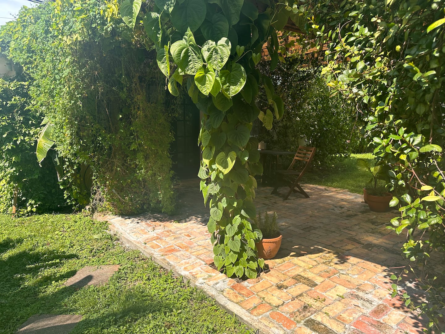 Photo 46