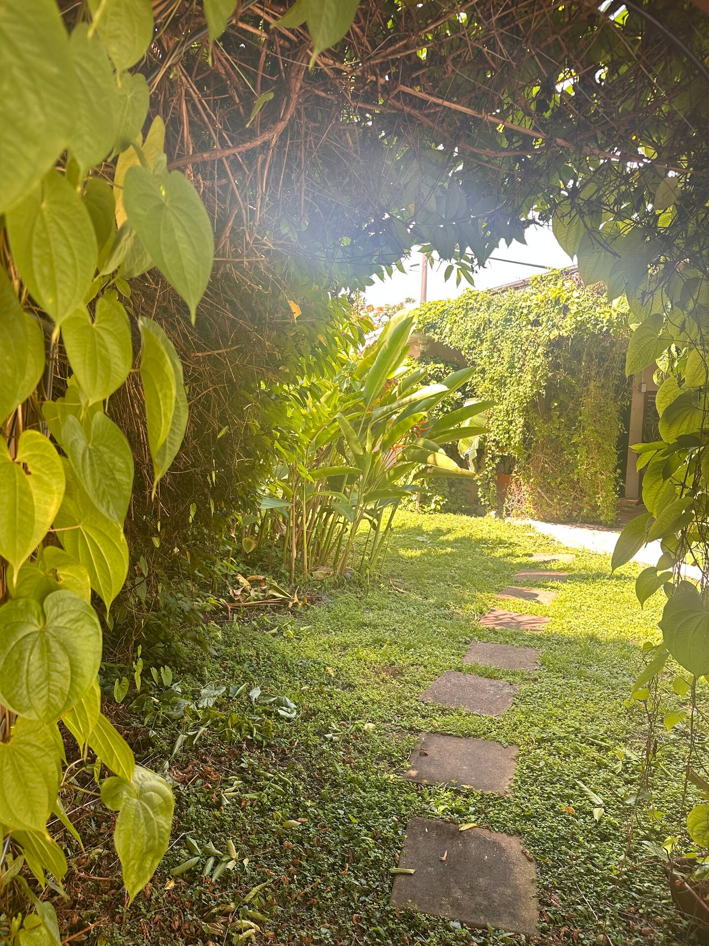 Photo 49