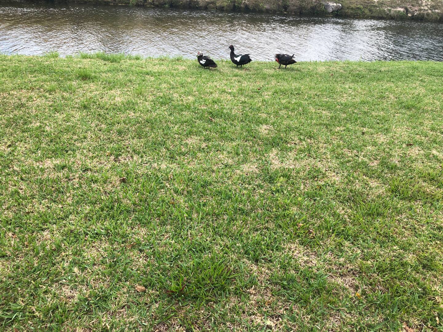 Photo 39