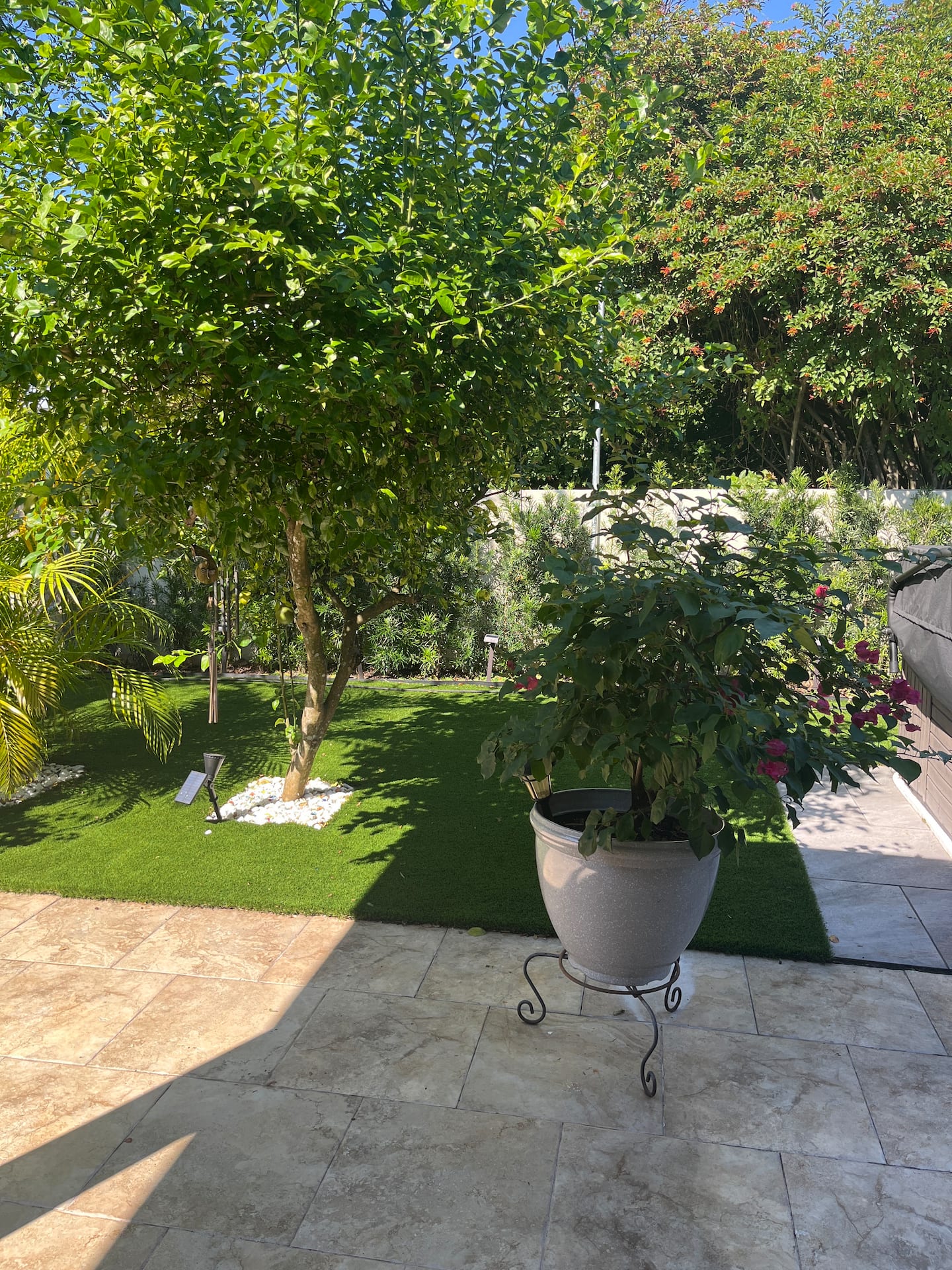 Photo 41