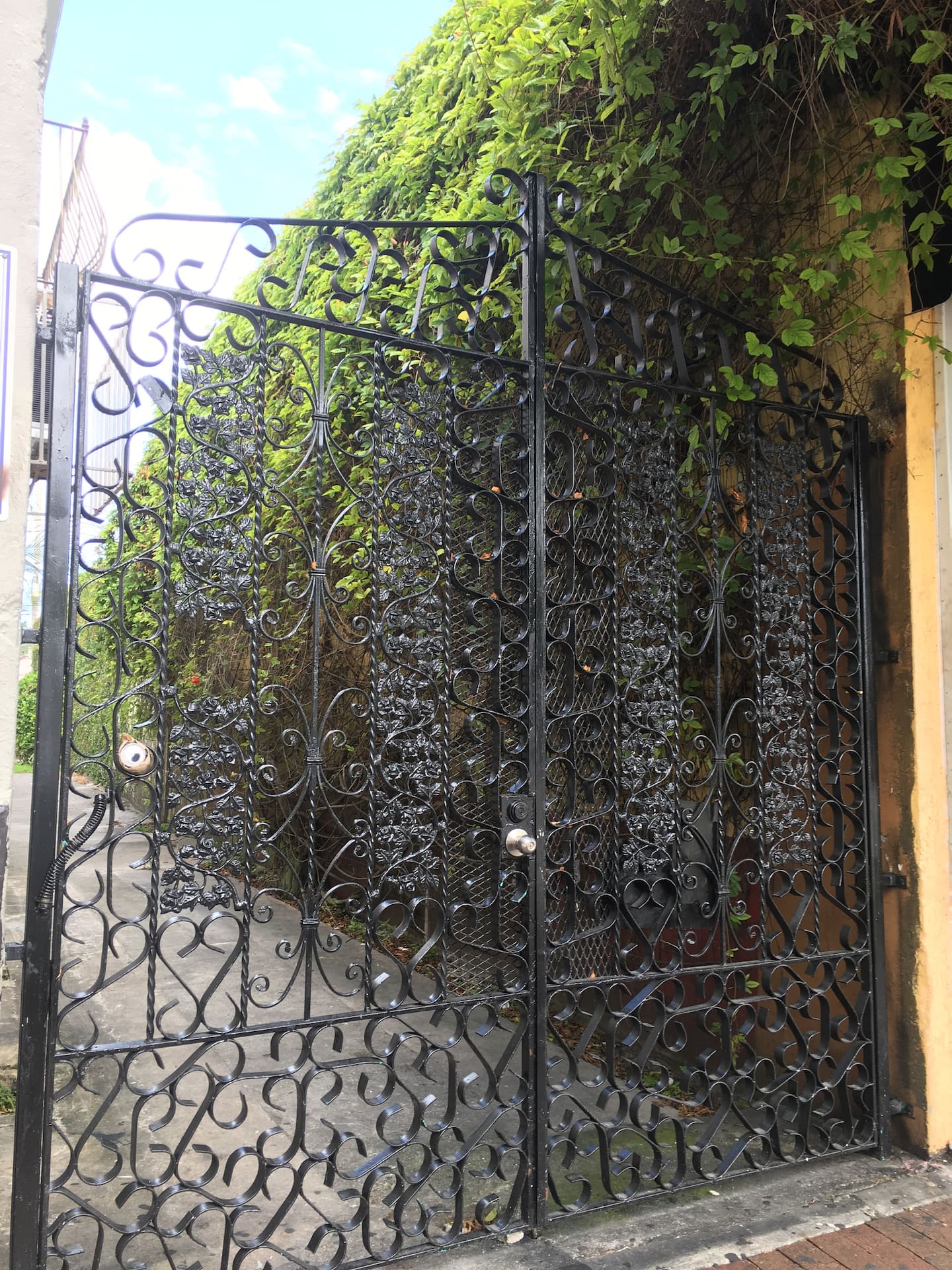 Photo 22