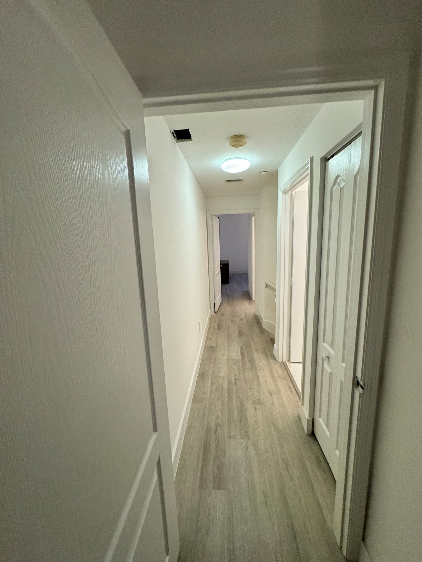 Photo 51