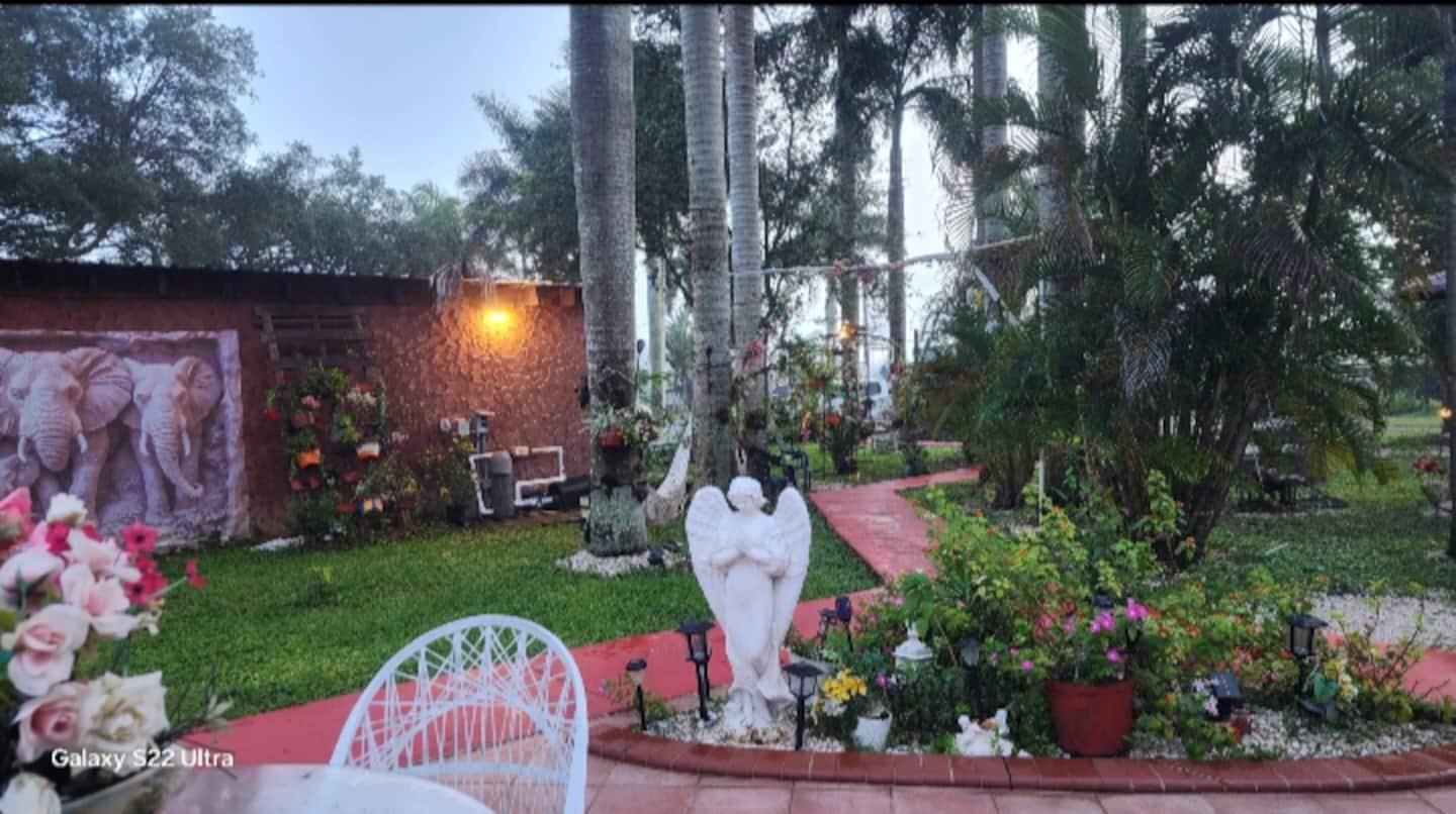 Photo 17