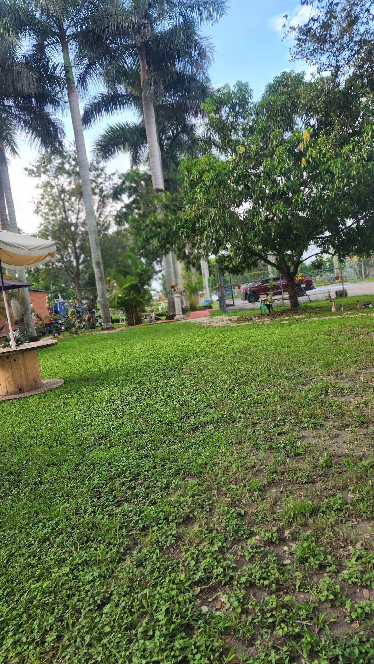 Photo 33