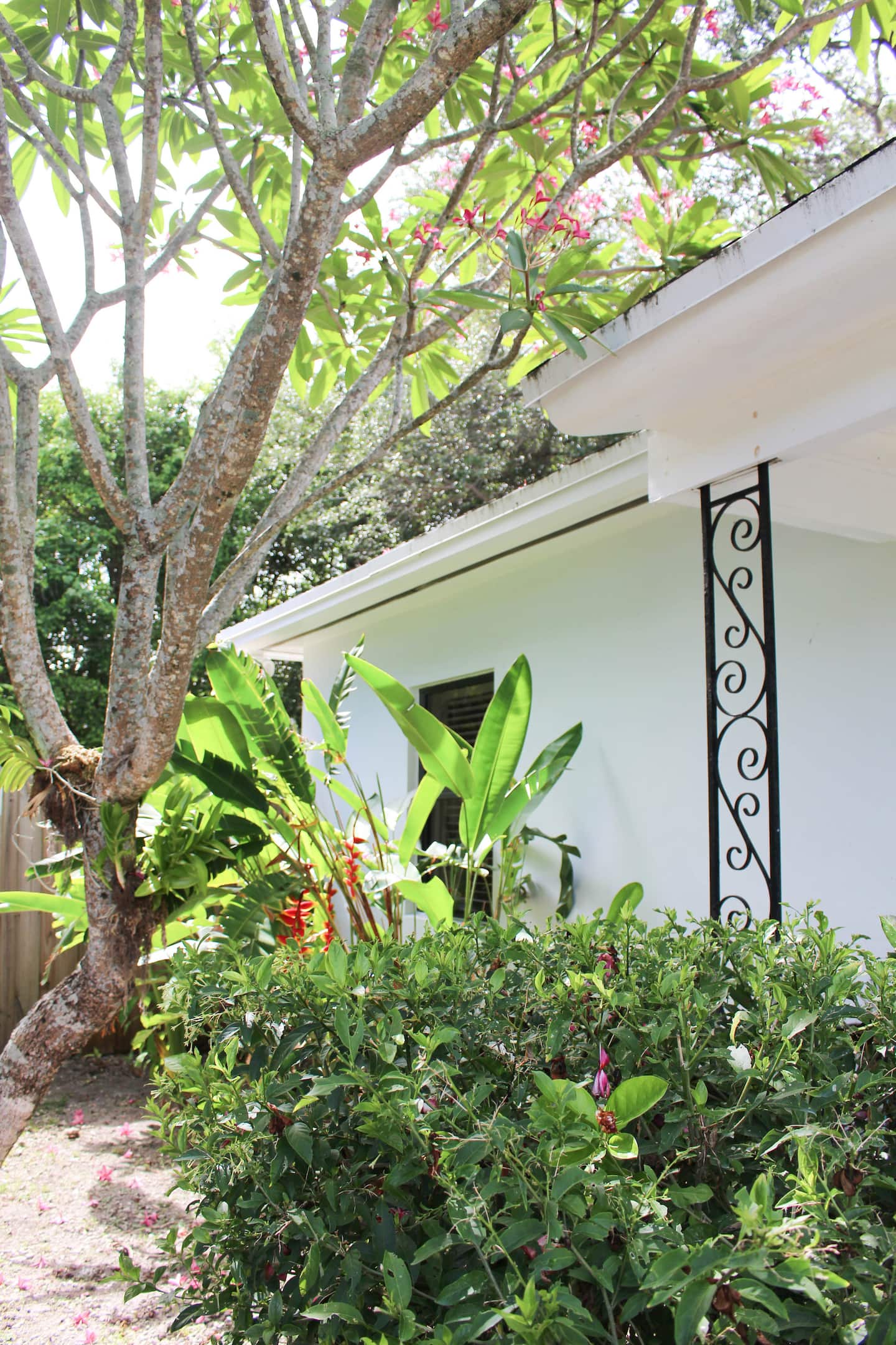 Main Photo