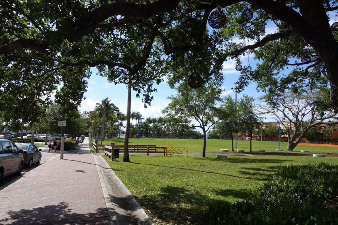 Photo 41