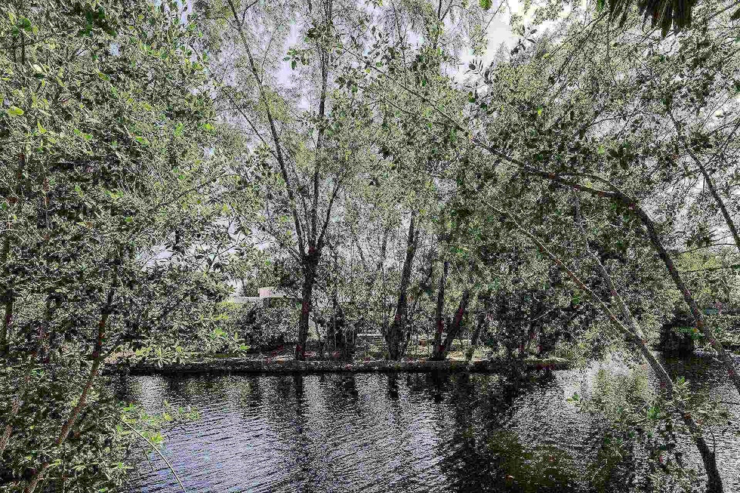 Photo 30