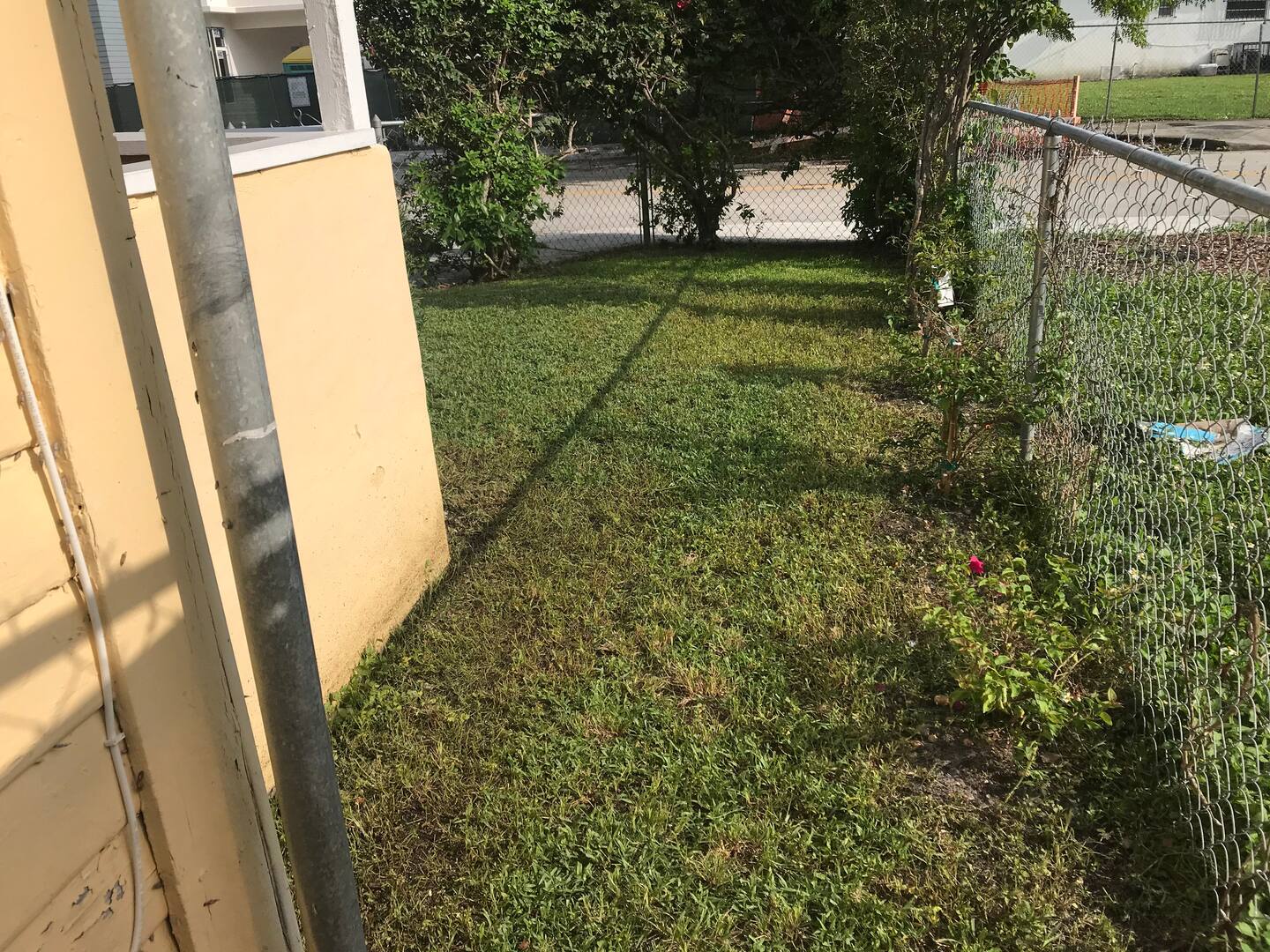 Photo 27