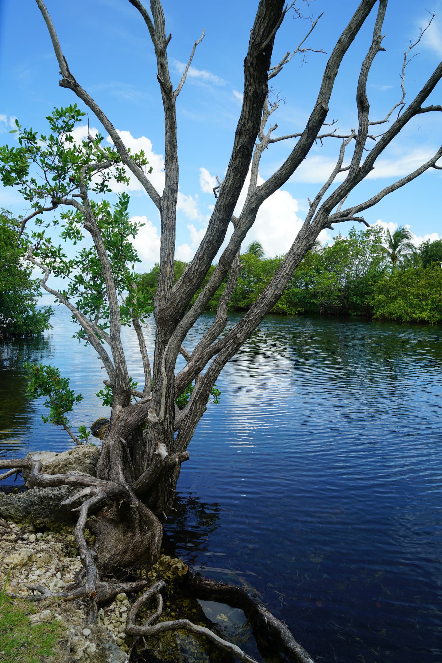 Photo 48