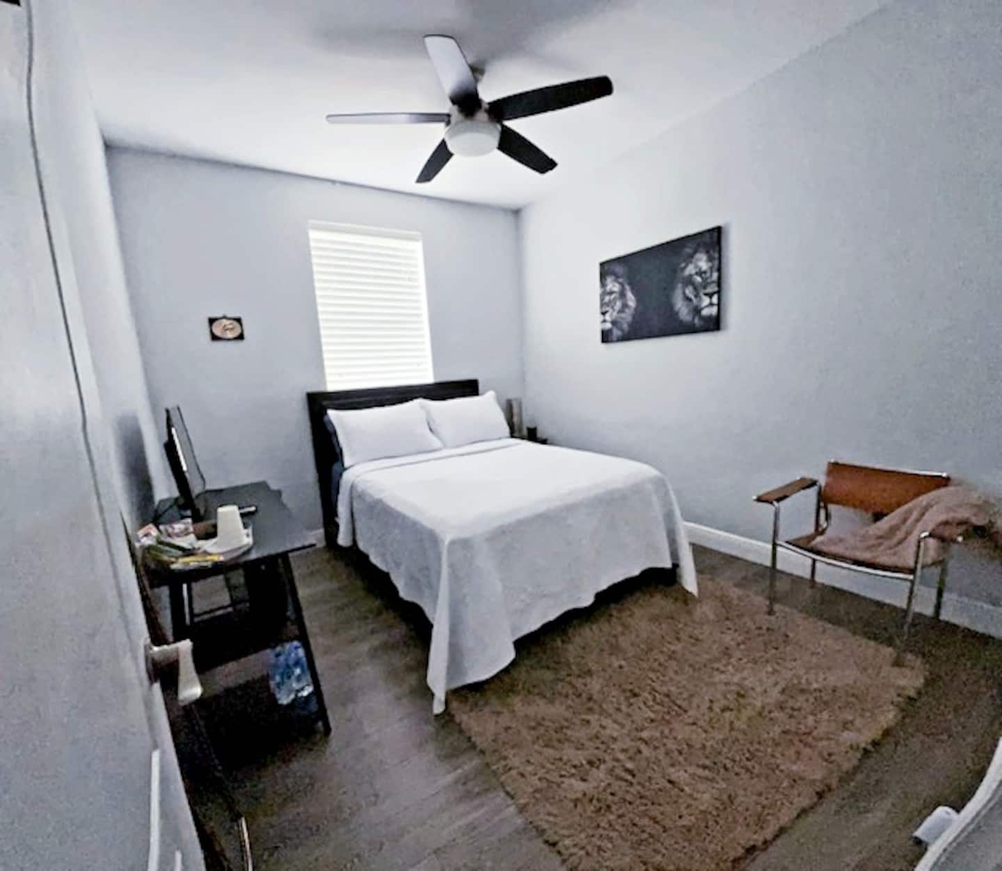 Photo 6