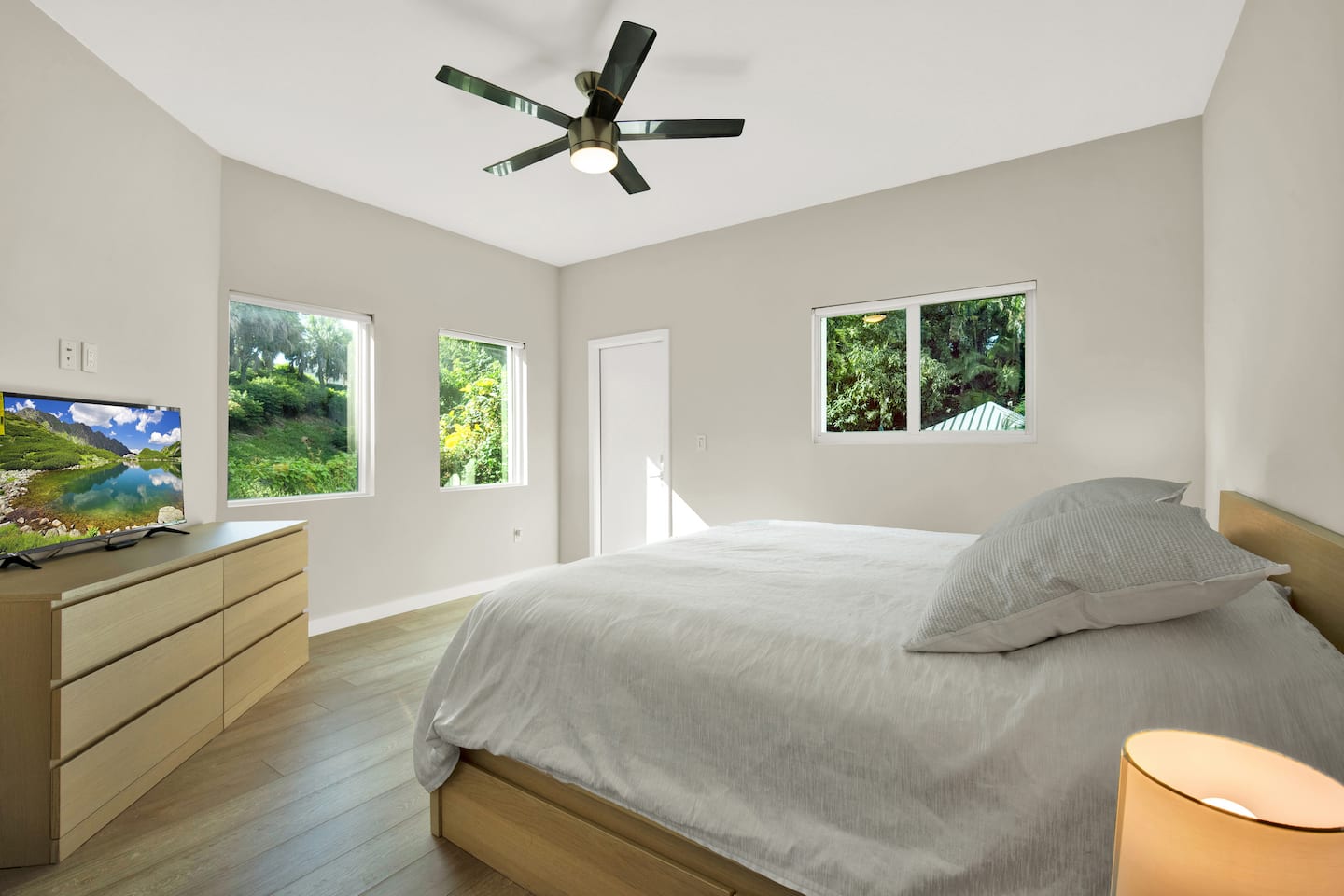 Photo 5
