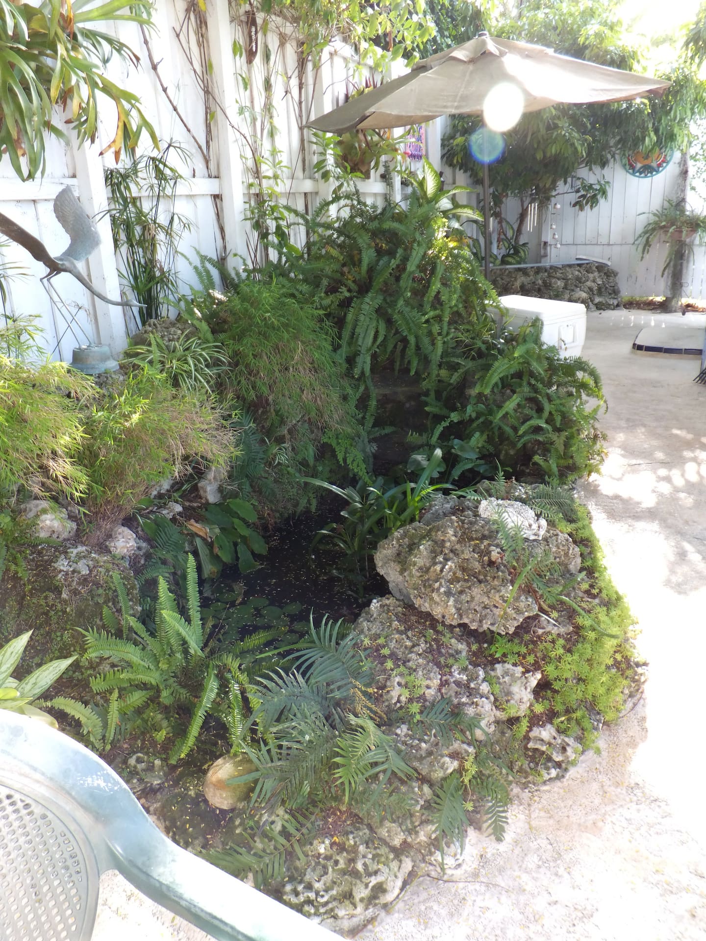Photo 25