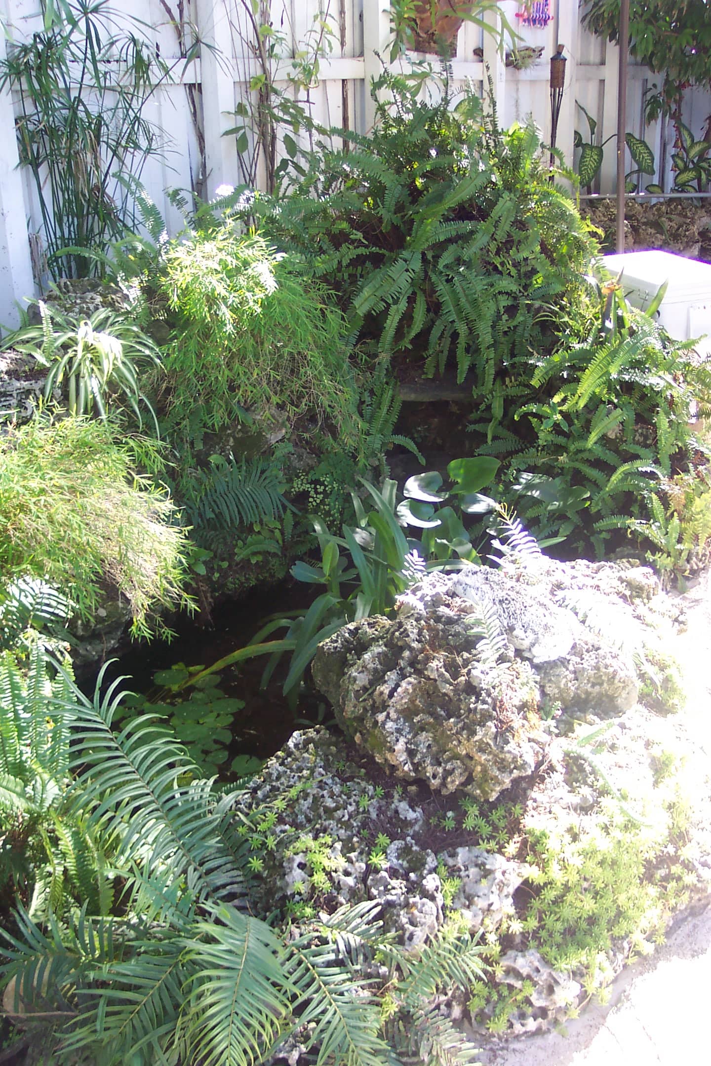 Photo 42
