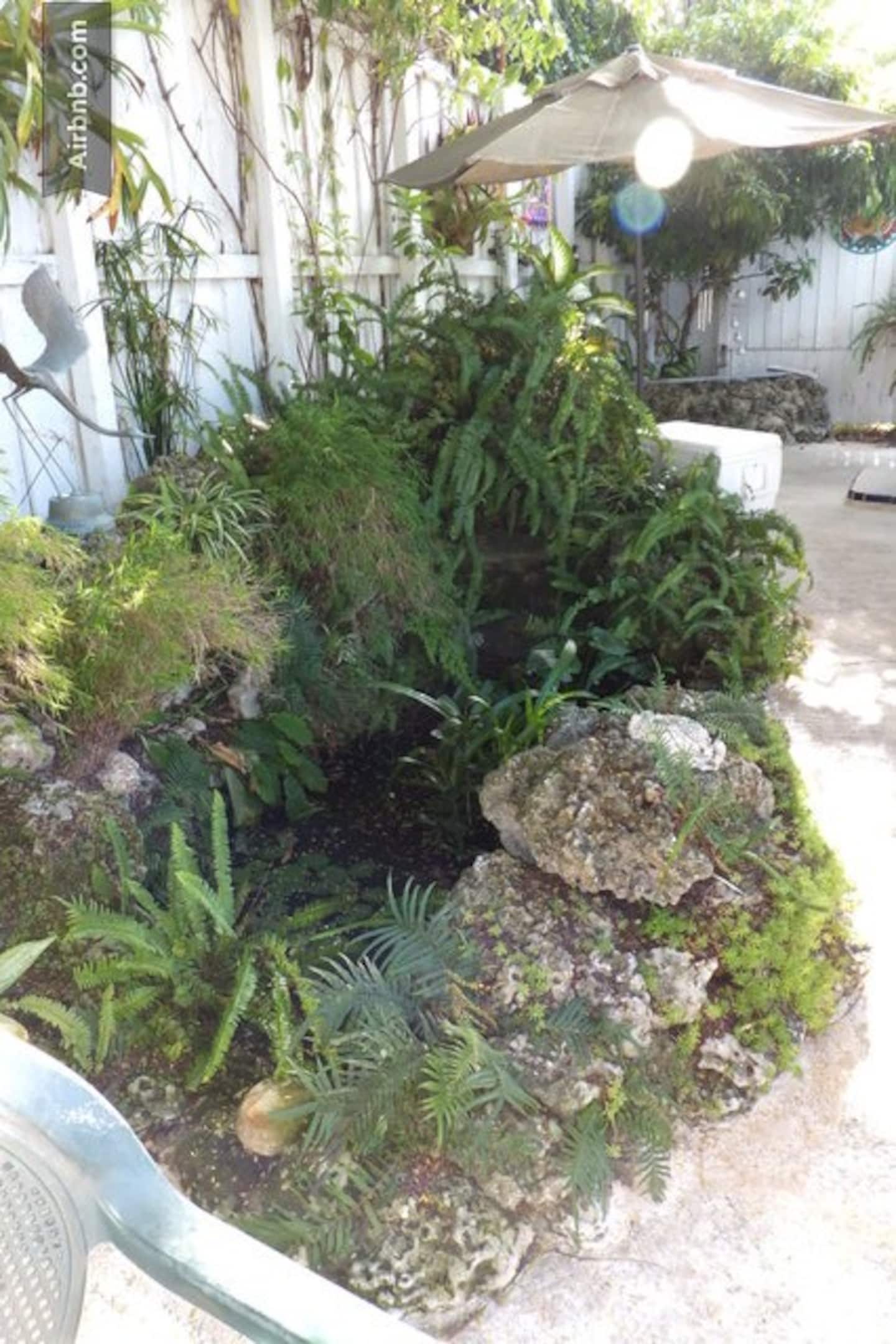 Photo 43