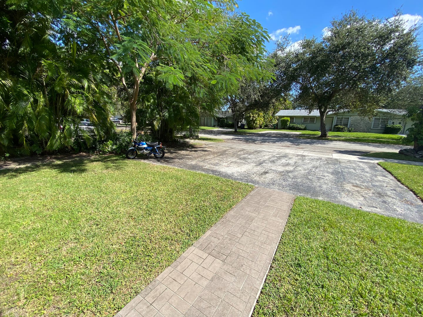 Photo 42