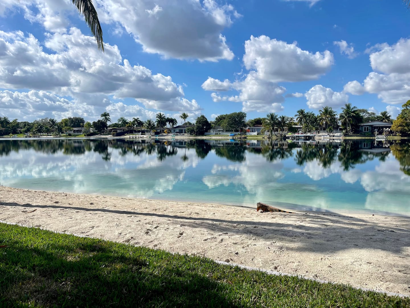 Photo 69