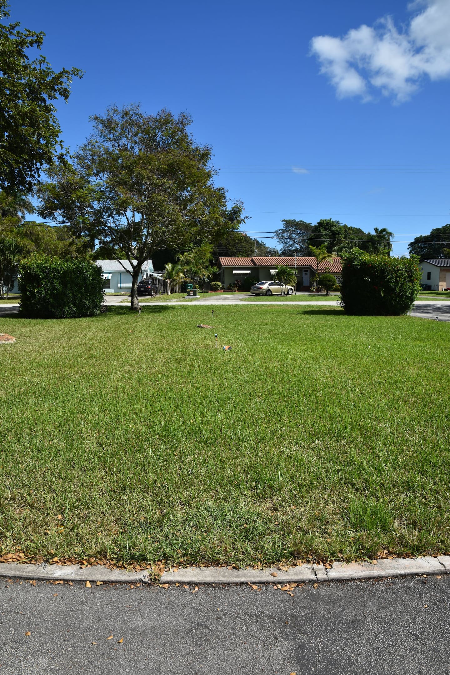 Photo 48
