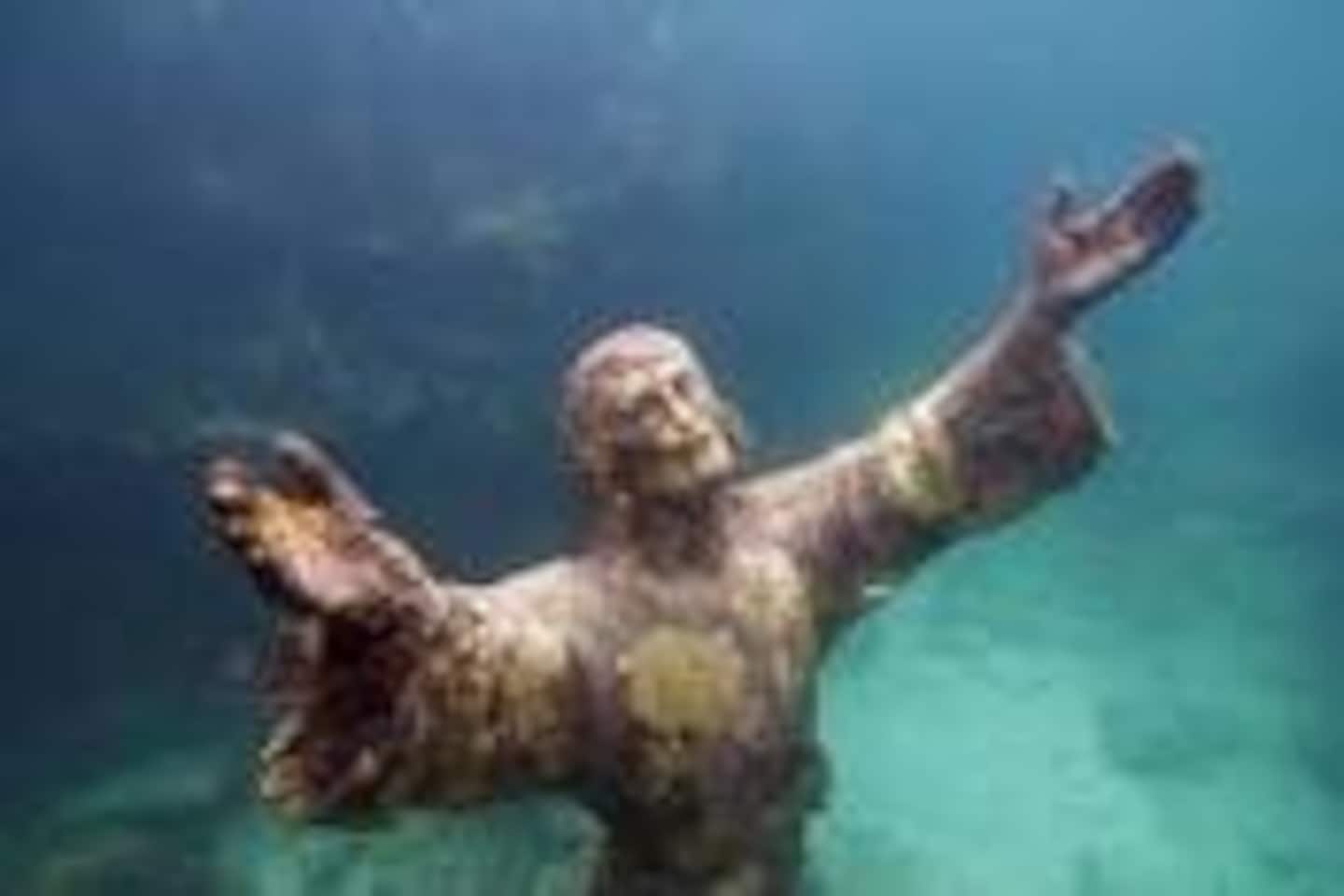 Photo 48