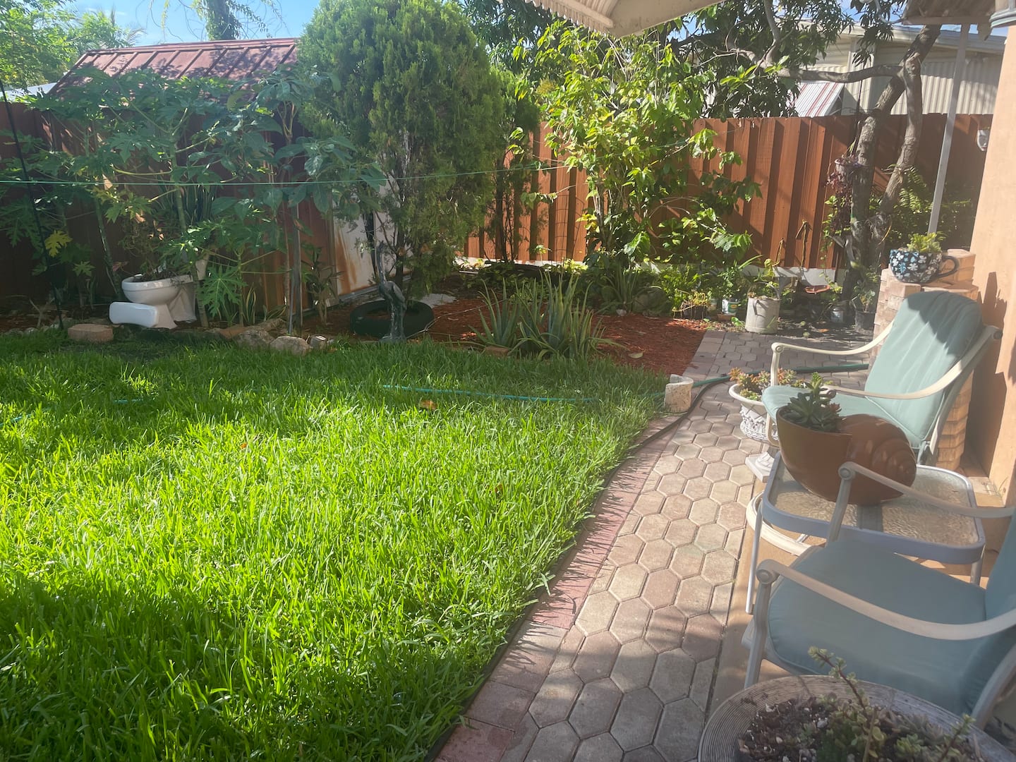 Photo 15